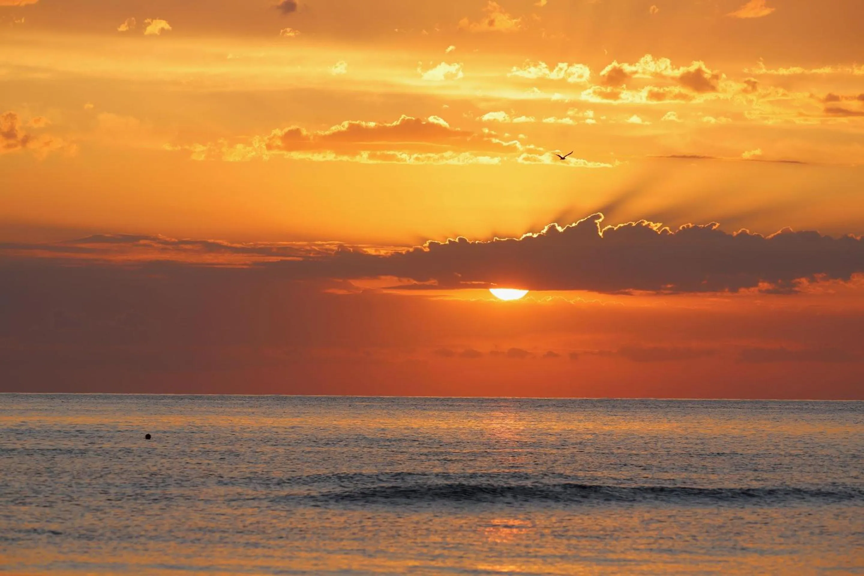 Natural landscape in Hotel Portonuovo