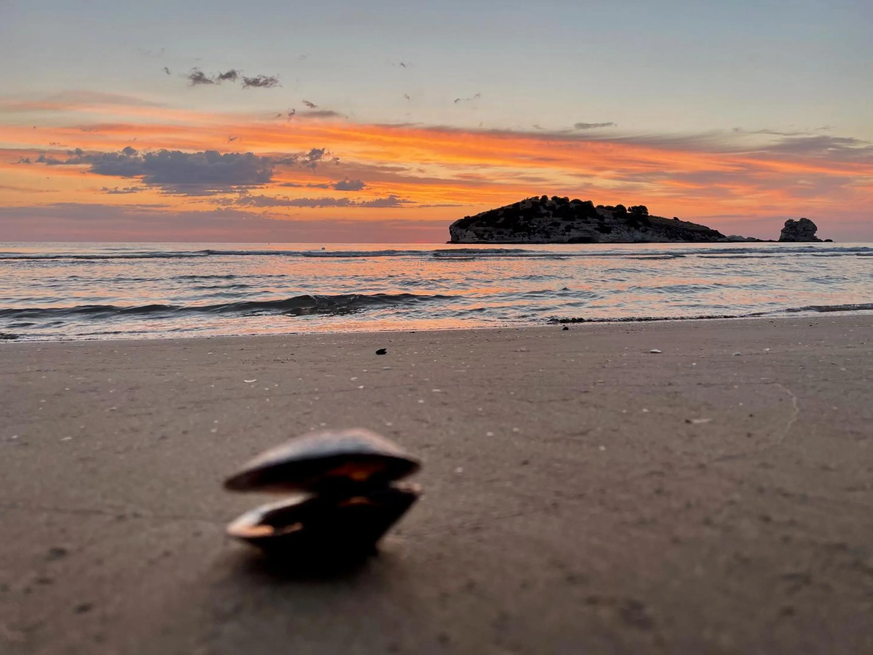 Day in Hotel Portonuovo