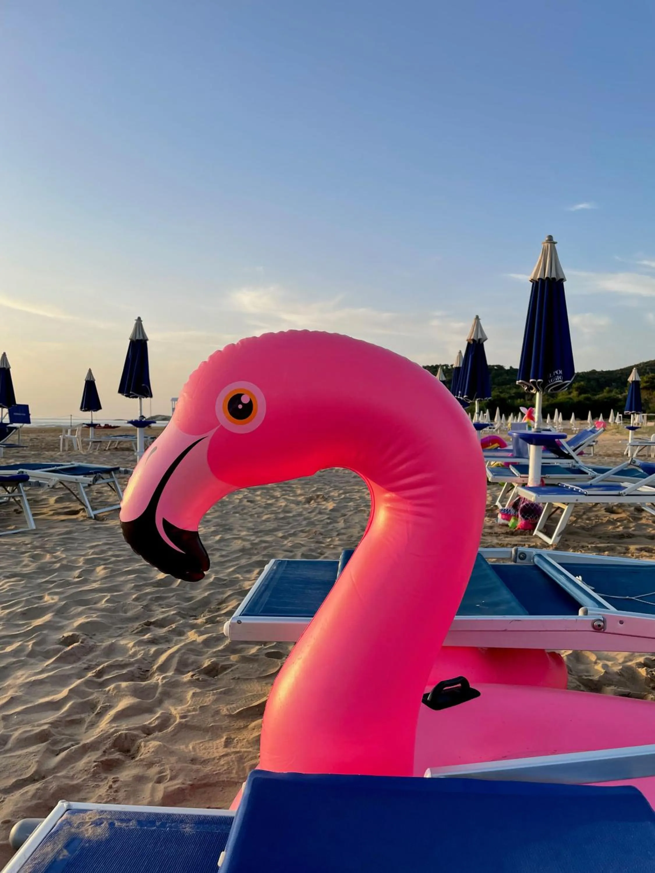 Beach in Hotel Portonuovo