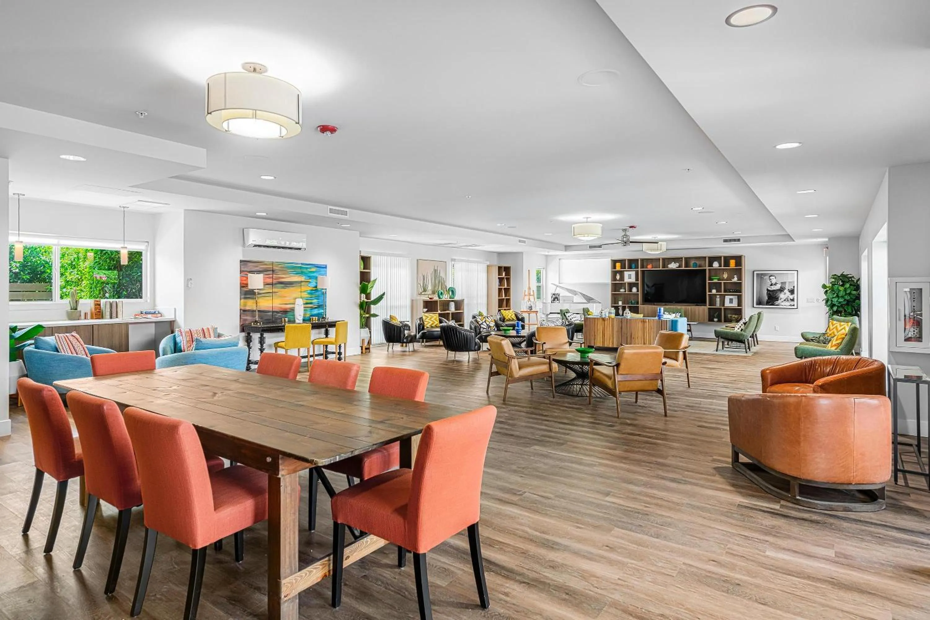 Lounge or bar in The Paloma Resort