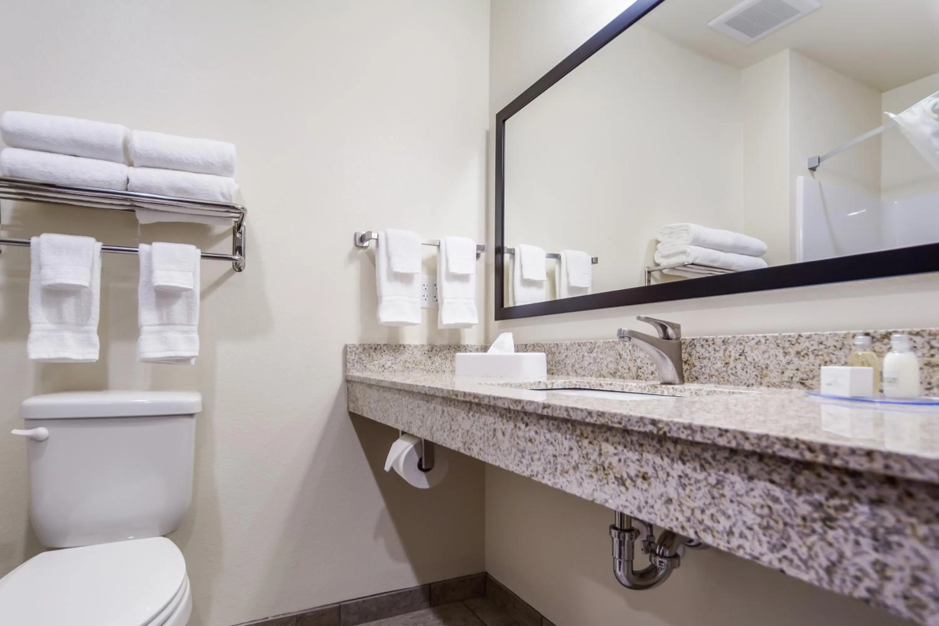 Bathroom in Cobblestone Inn & Suites-Fremont