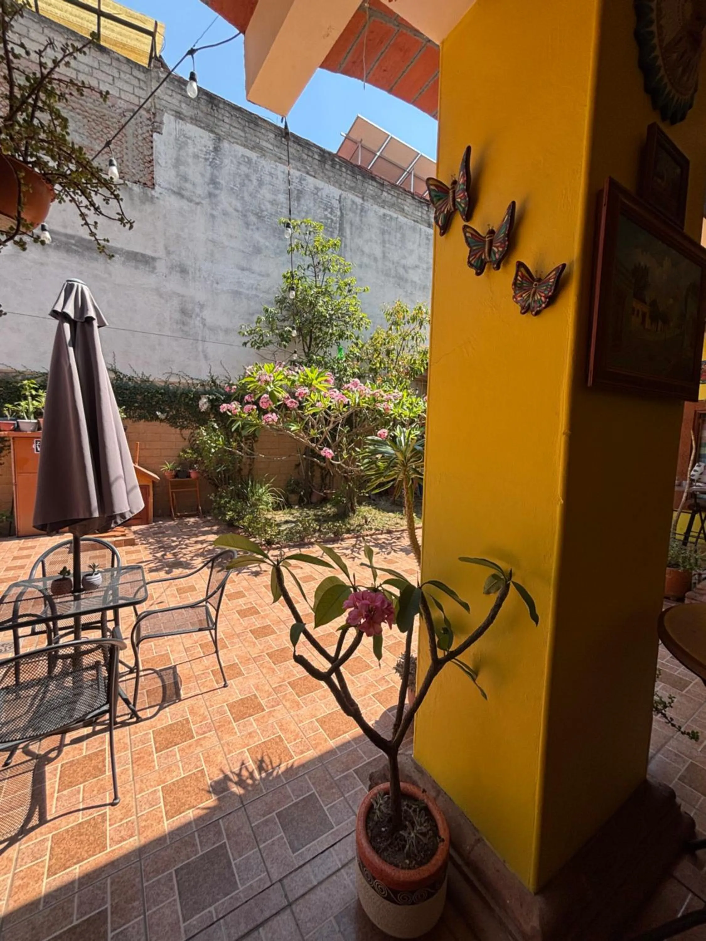 Hotel Posada "Mi Rosita"