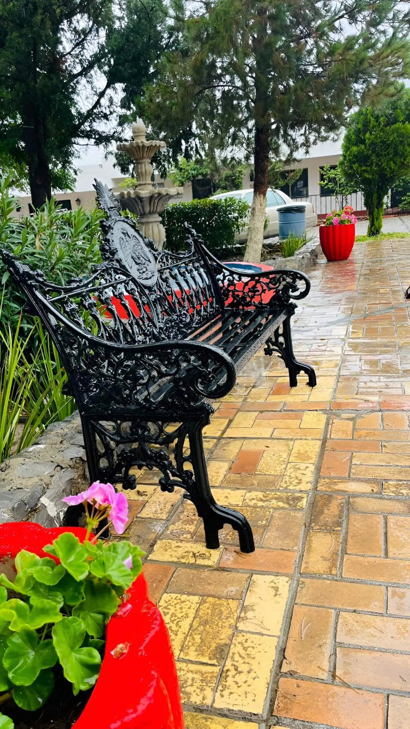Garden in Hotel La Fuente, Saltillo
