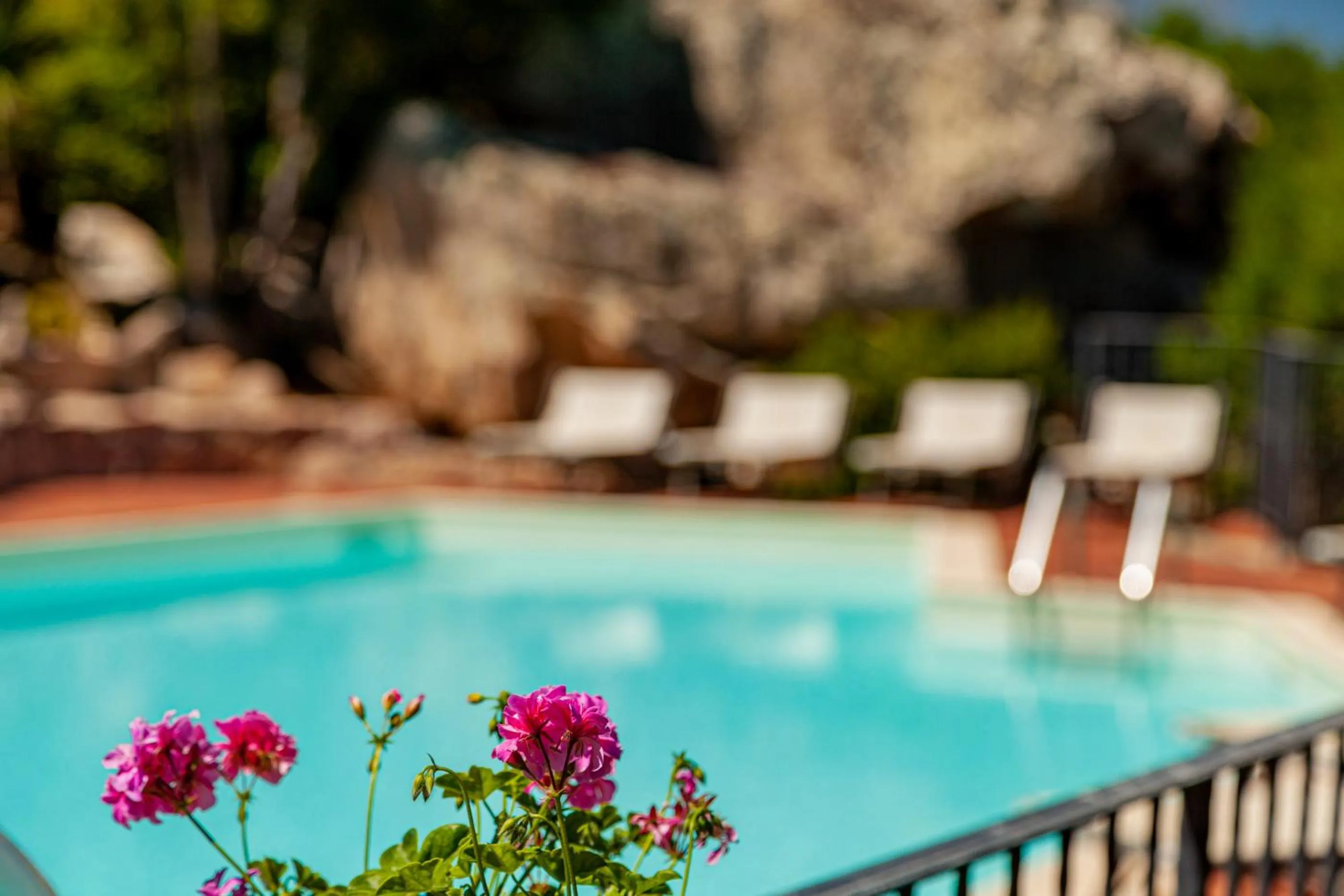 Activities in Hotel San Trano