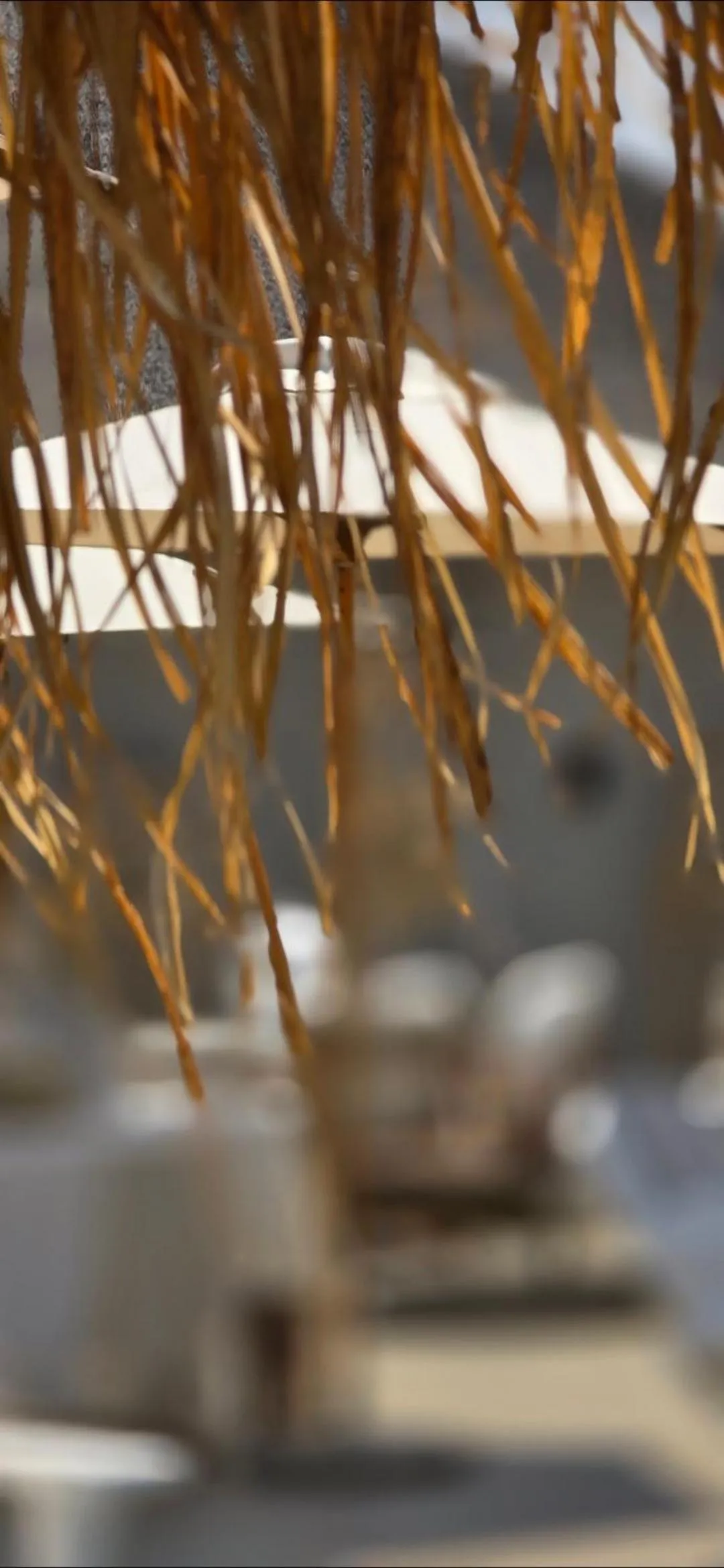 Patio in African Flair Boutique Safari Lodge