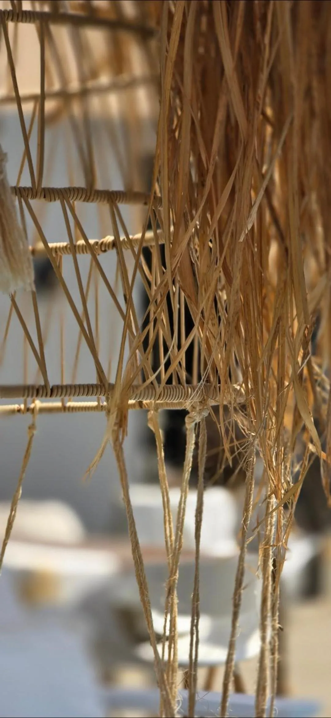 Day in African Flair Boutique Safari Lodge