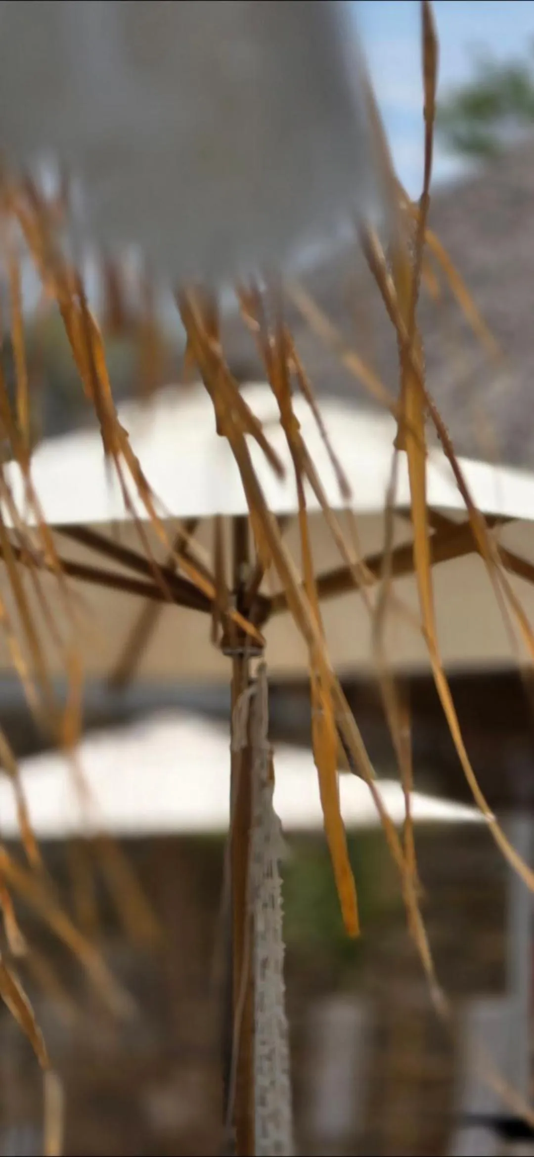 Patio in African Flair Boutique Safari Lodge
