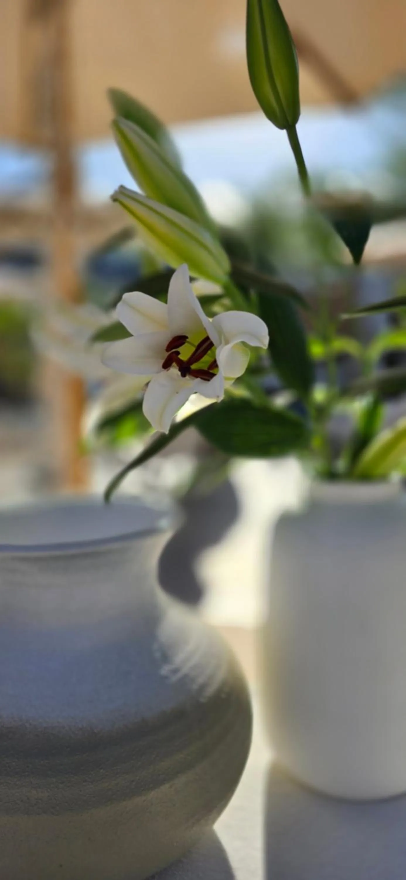 Patio in African Flair Boutique Safari Lodge