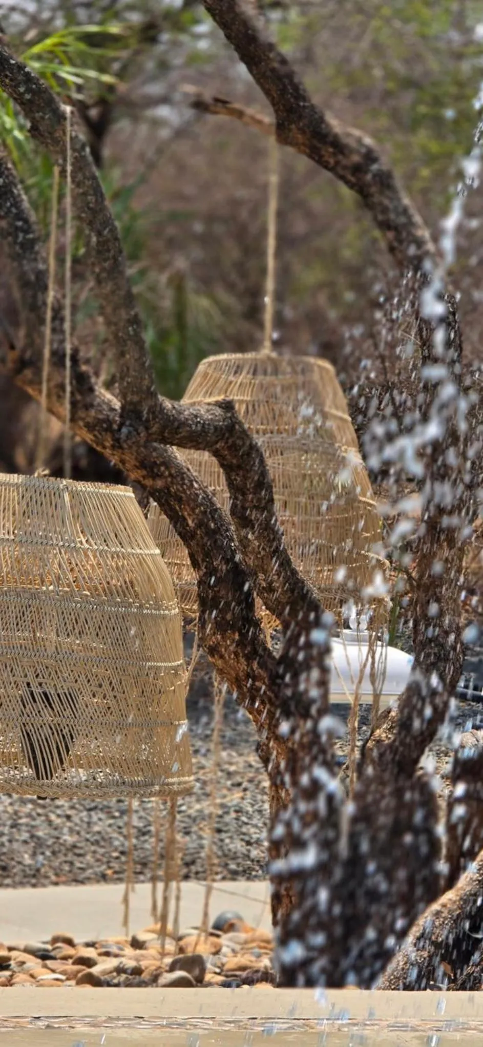 Day in African Flair Boutique Safari Lodge