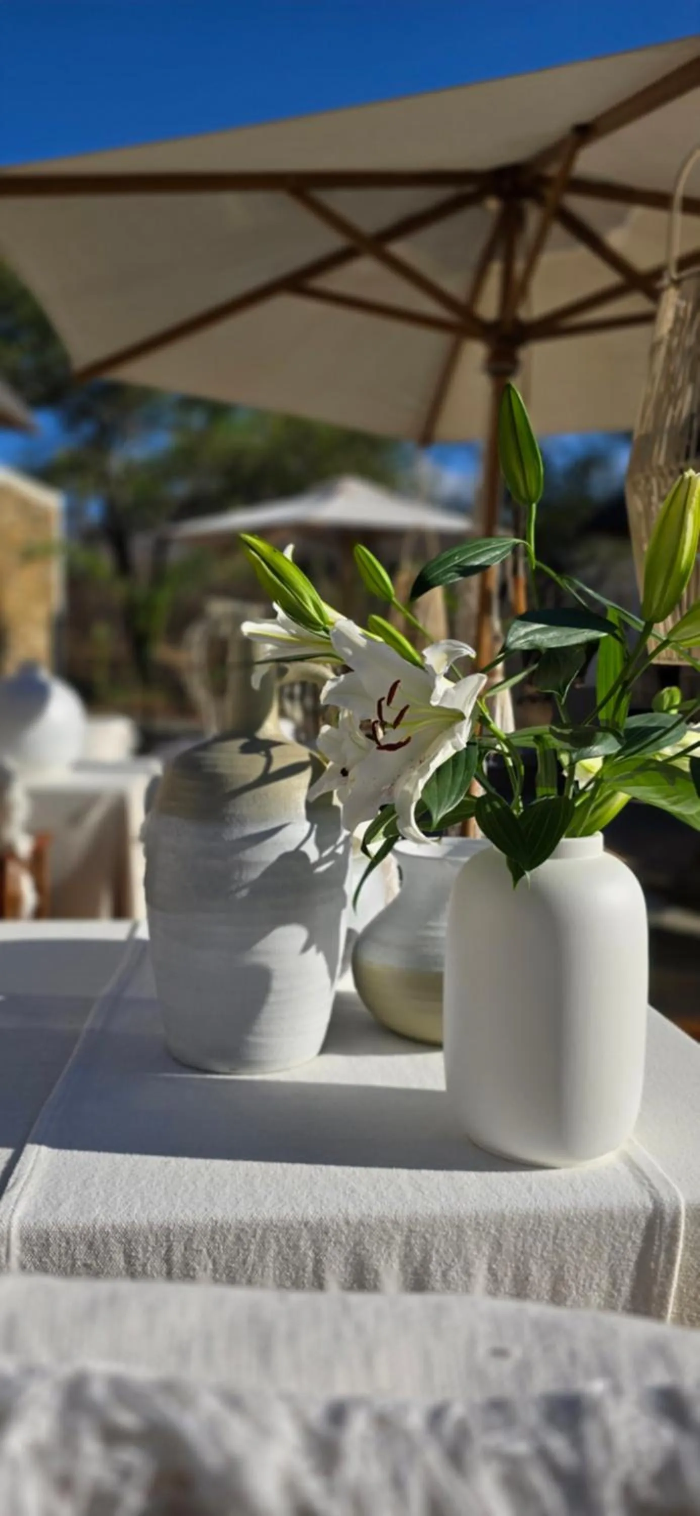 Day in African Flair Boutique Safari Lodge