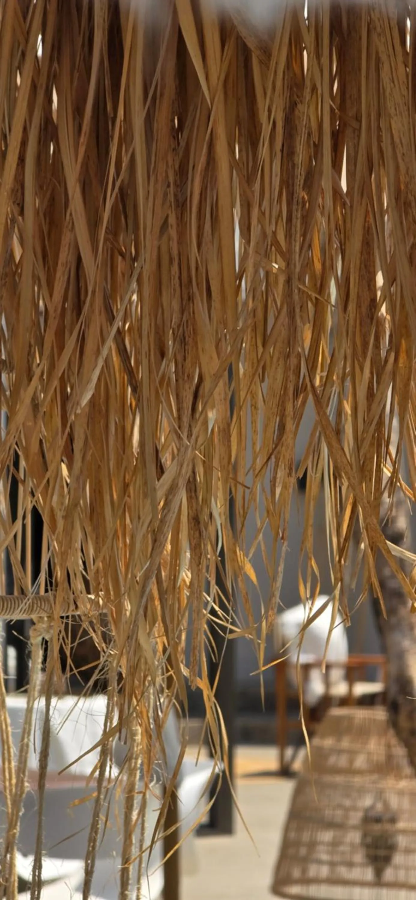 Patio in African Flair Boutique Safari Lodge