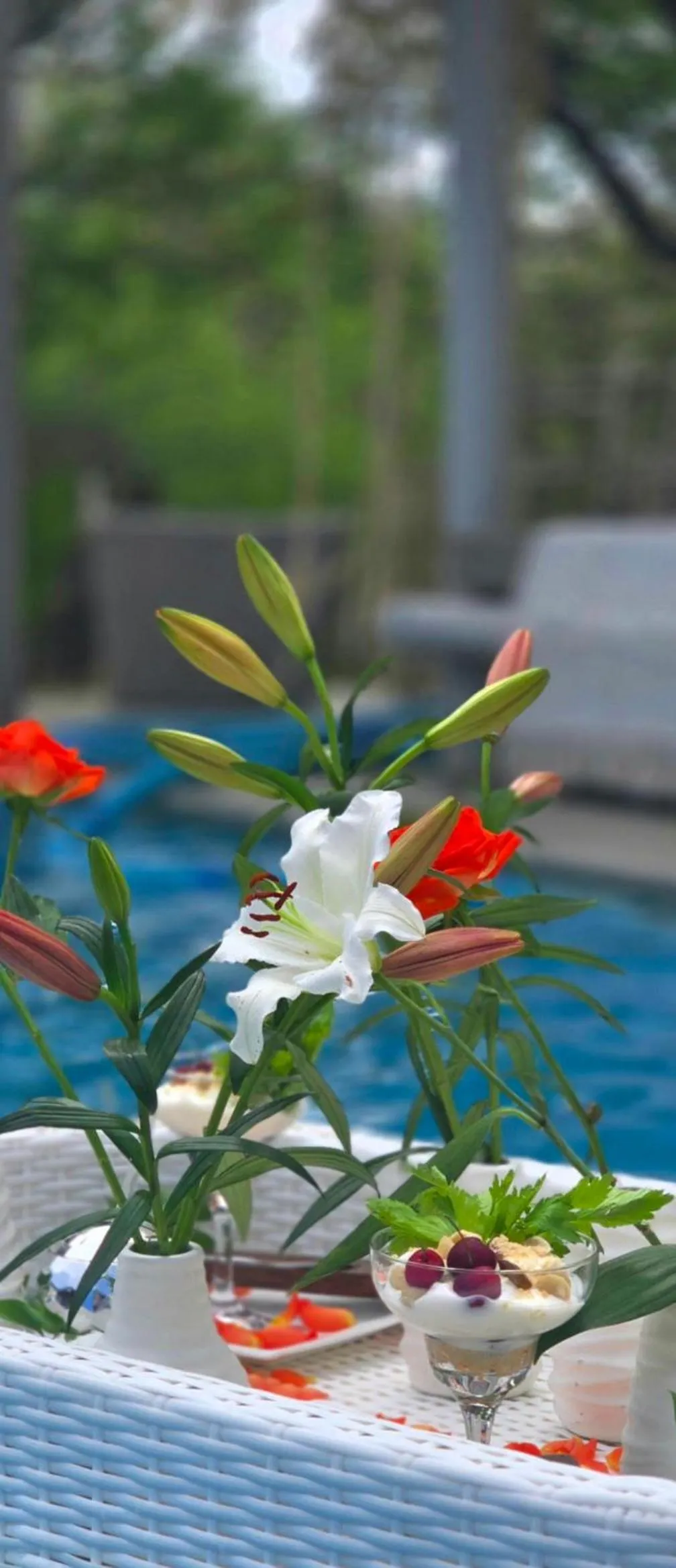 Swimming pool in African Flair Boutique Safari Lodge