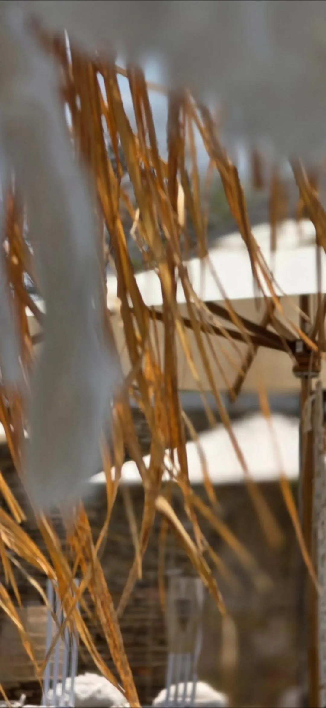 Patio in African Flair Boutique Safari Lodge