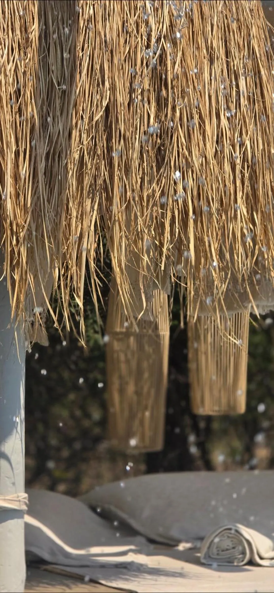 Garden view in African Flair Boutique Safari Lodge