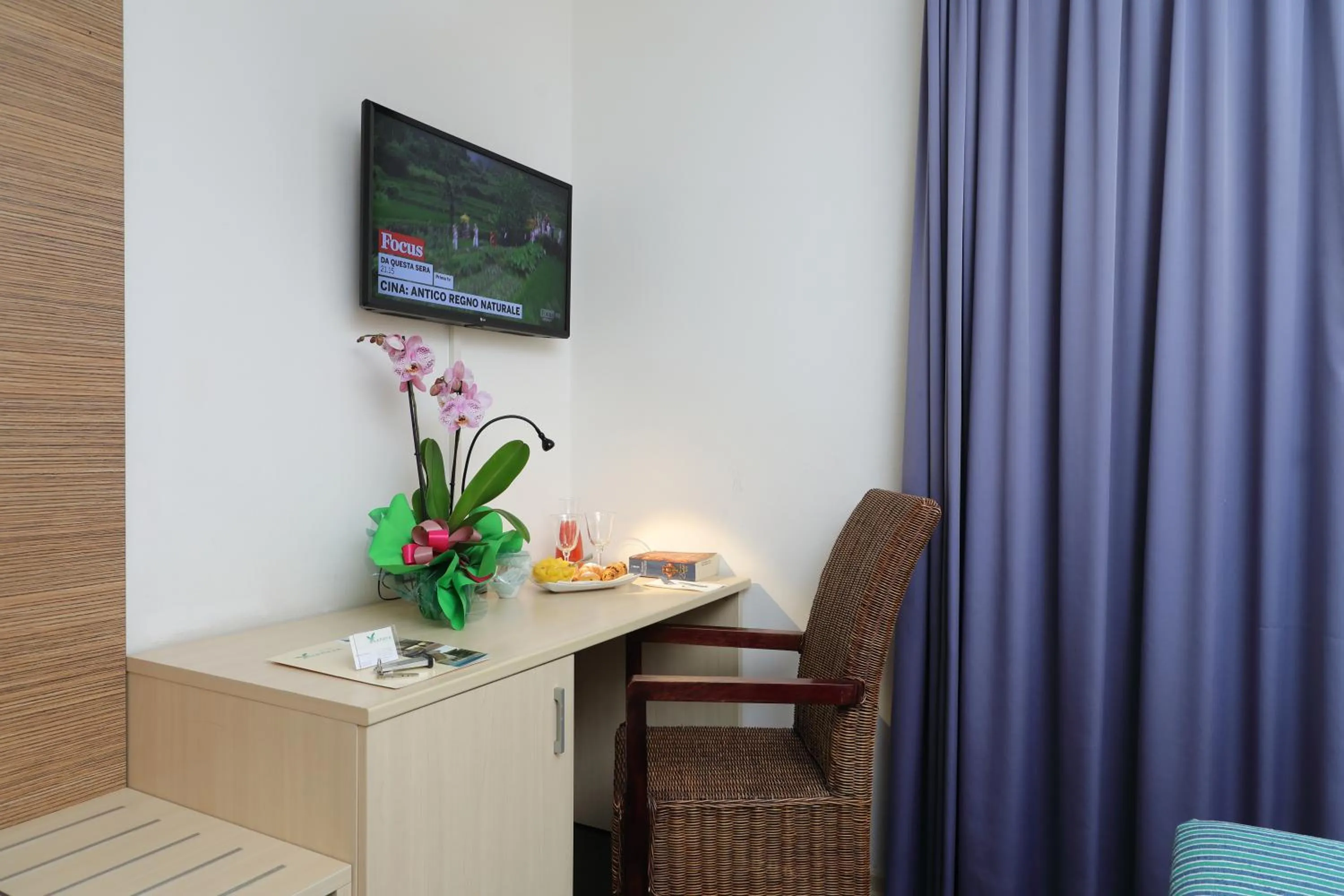 TV and multimedia in Hotel Anapaya