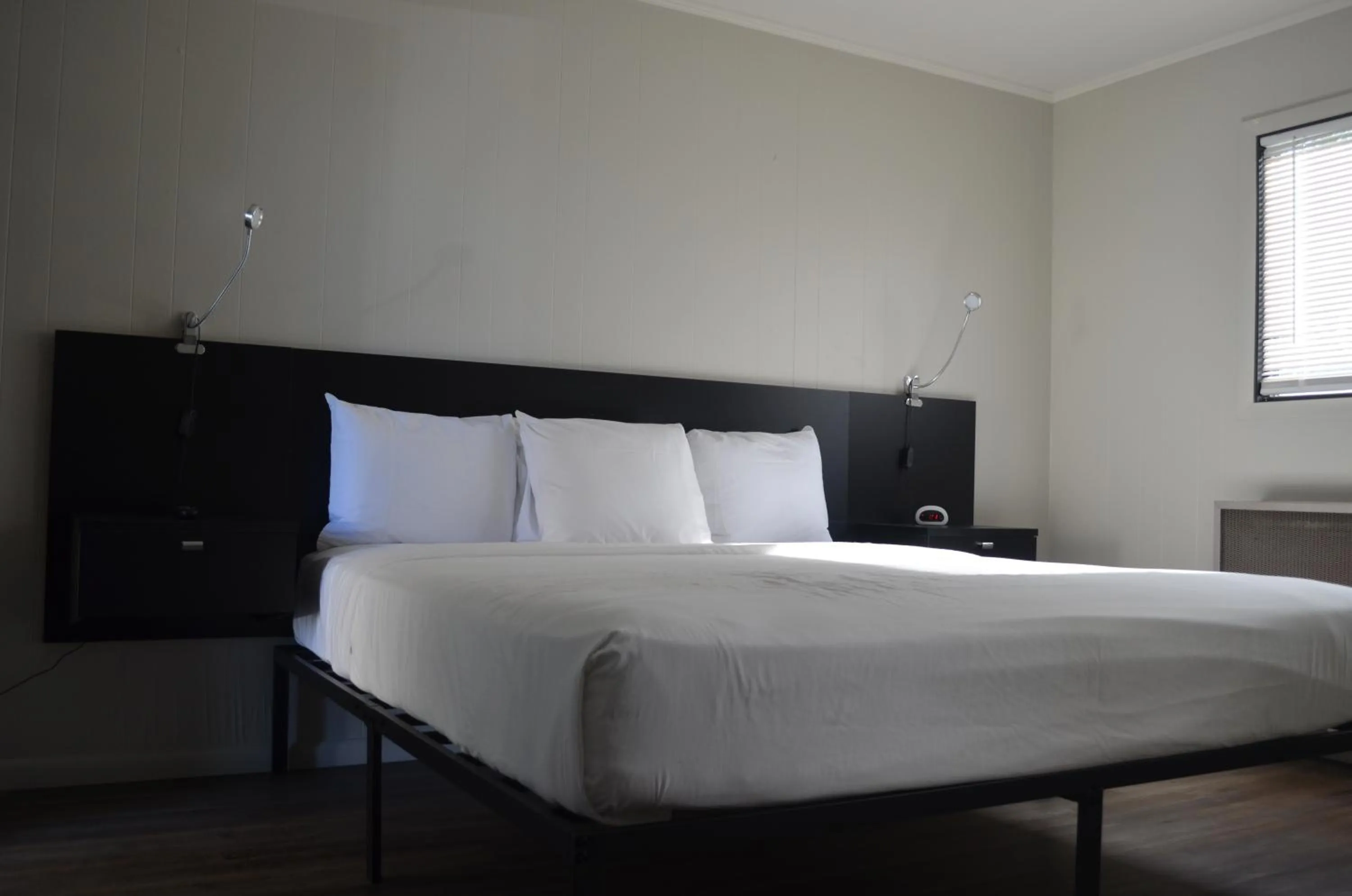 Photo of the whole room in The Cedar Motel