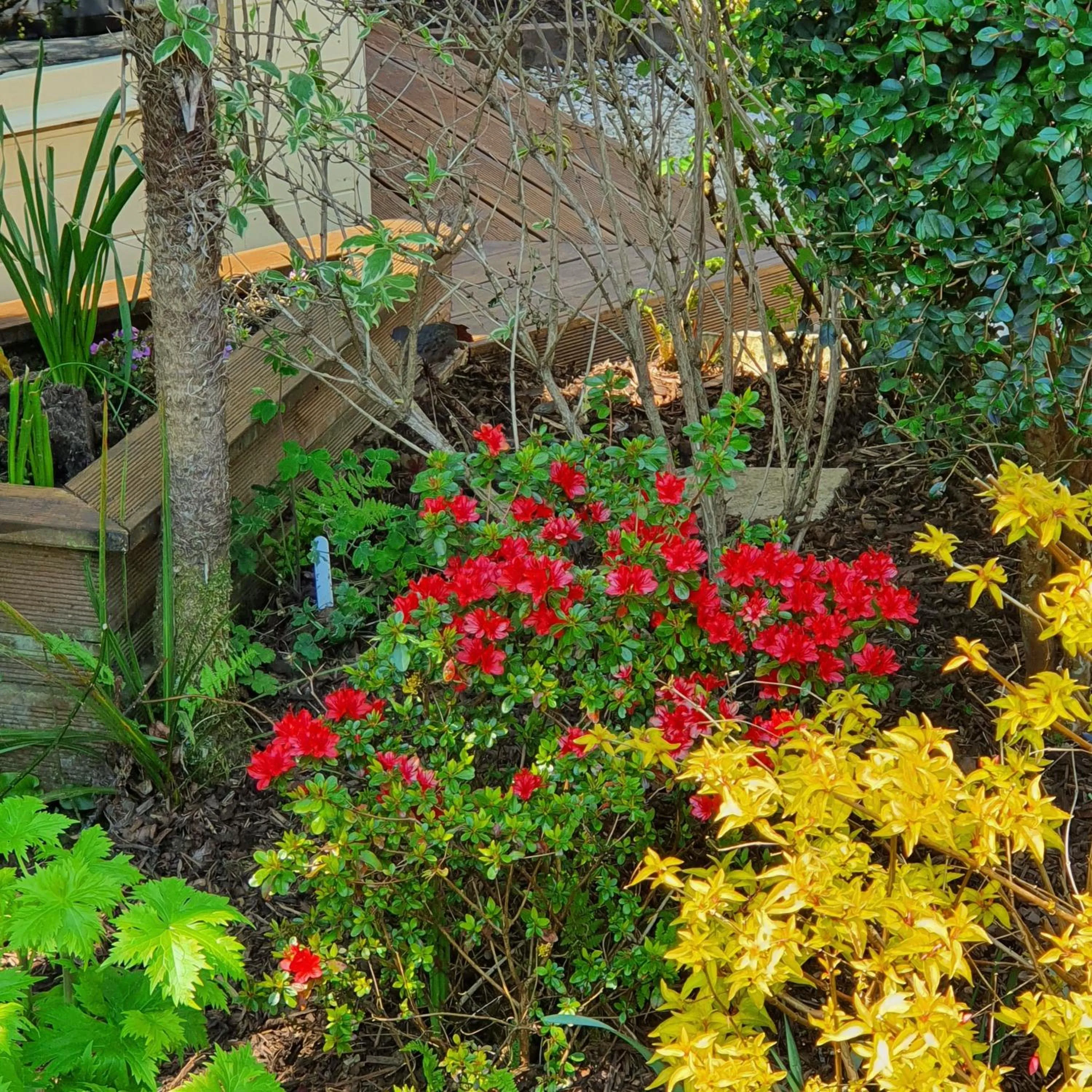 Garden in Eden's Rest Bed and Breakfast