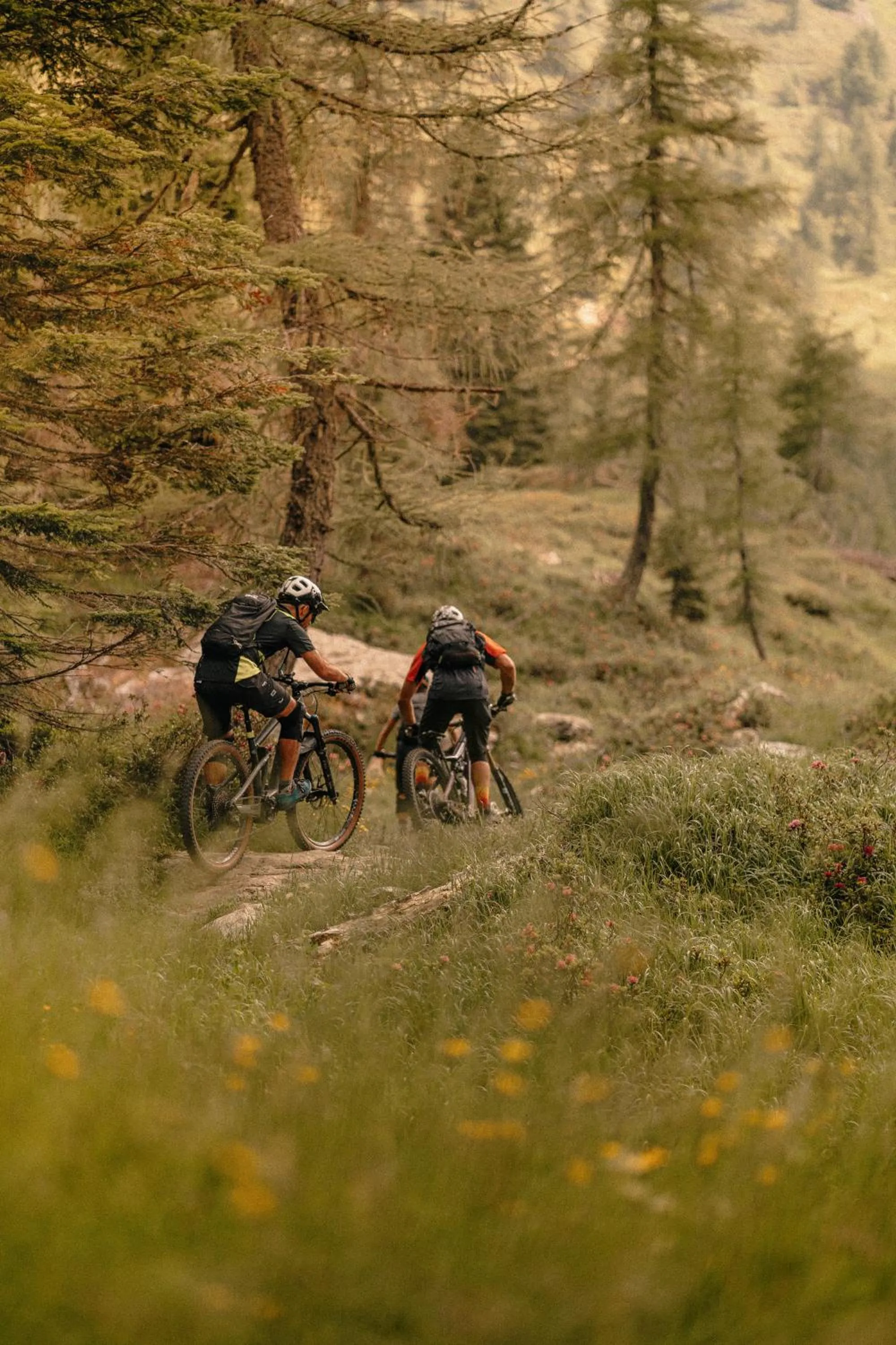 Sports in Cristallo Sport & Wellness Hotel