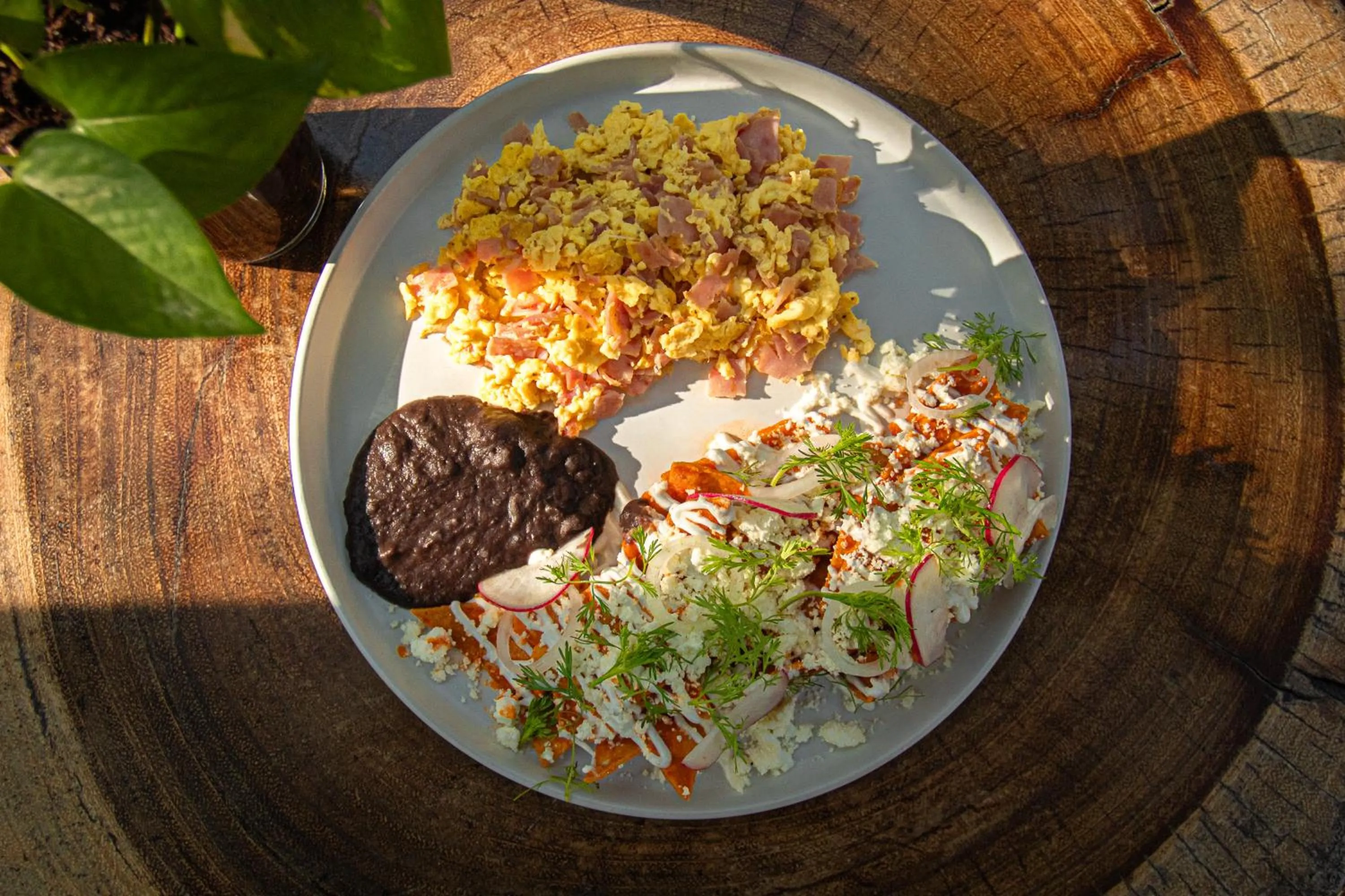 Restaurant/places to eat in The Yellow Nest Tulum