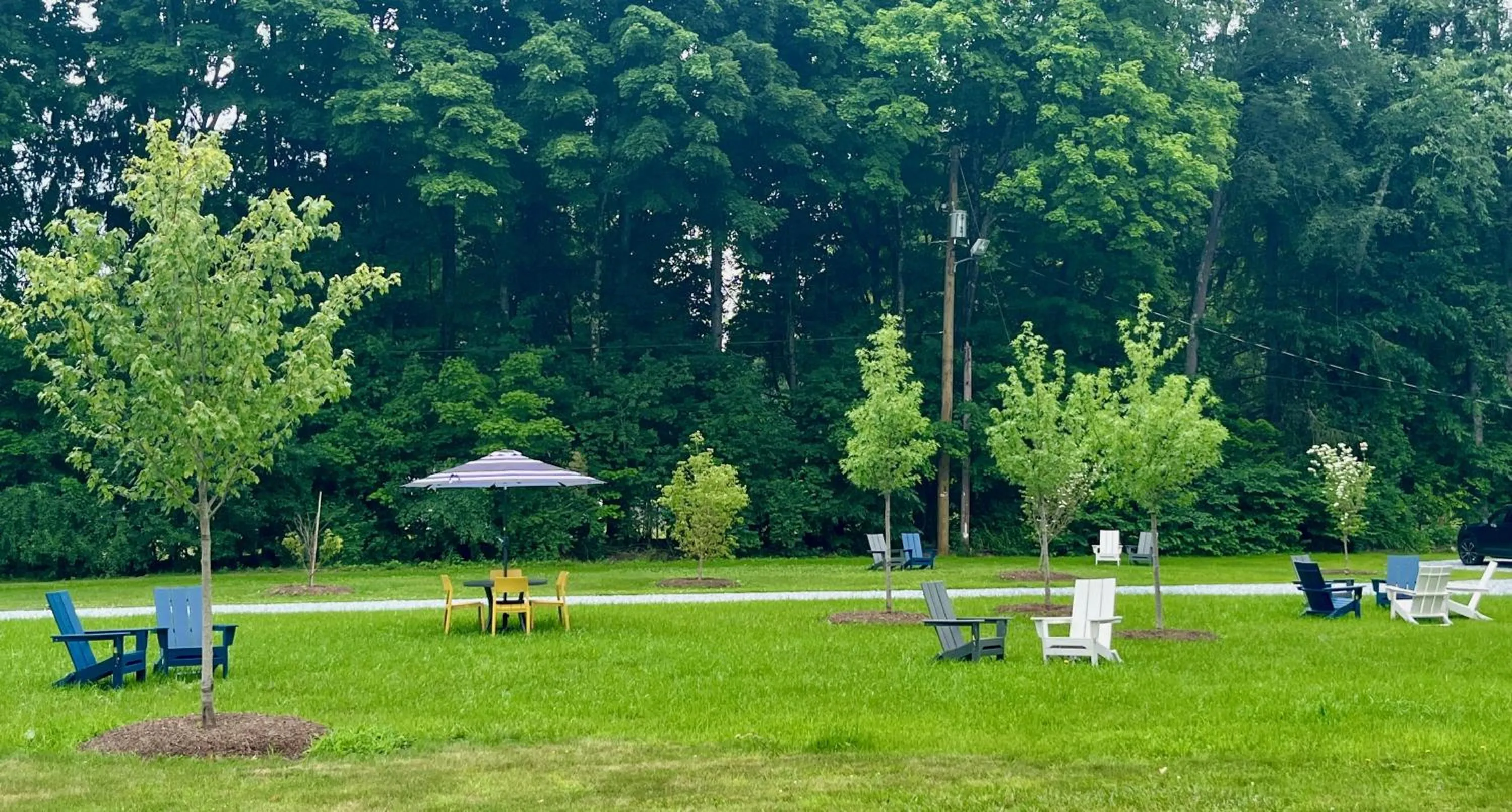 Garden in East Rock Inn