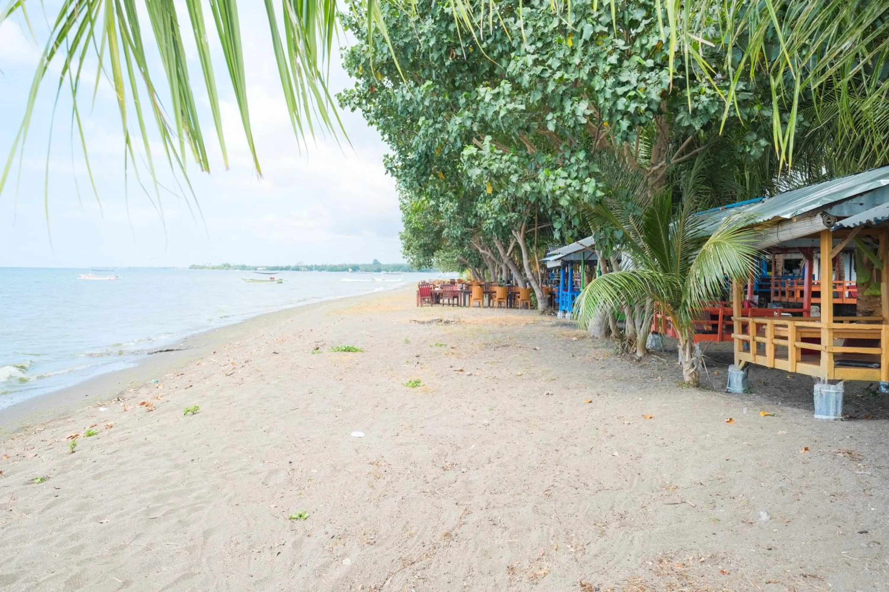 Area and facilities in RedDoorz at Tanjung Alam Hotel Lovina