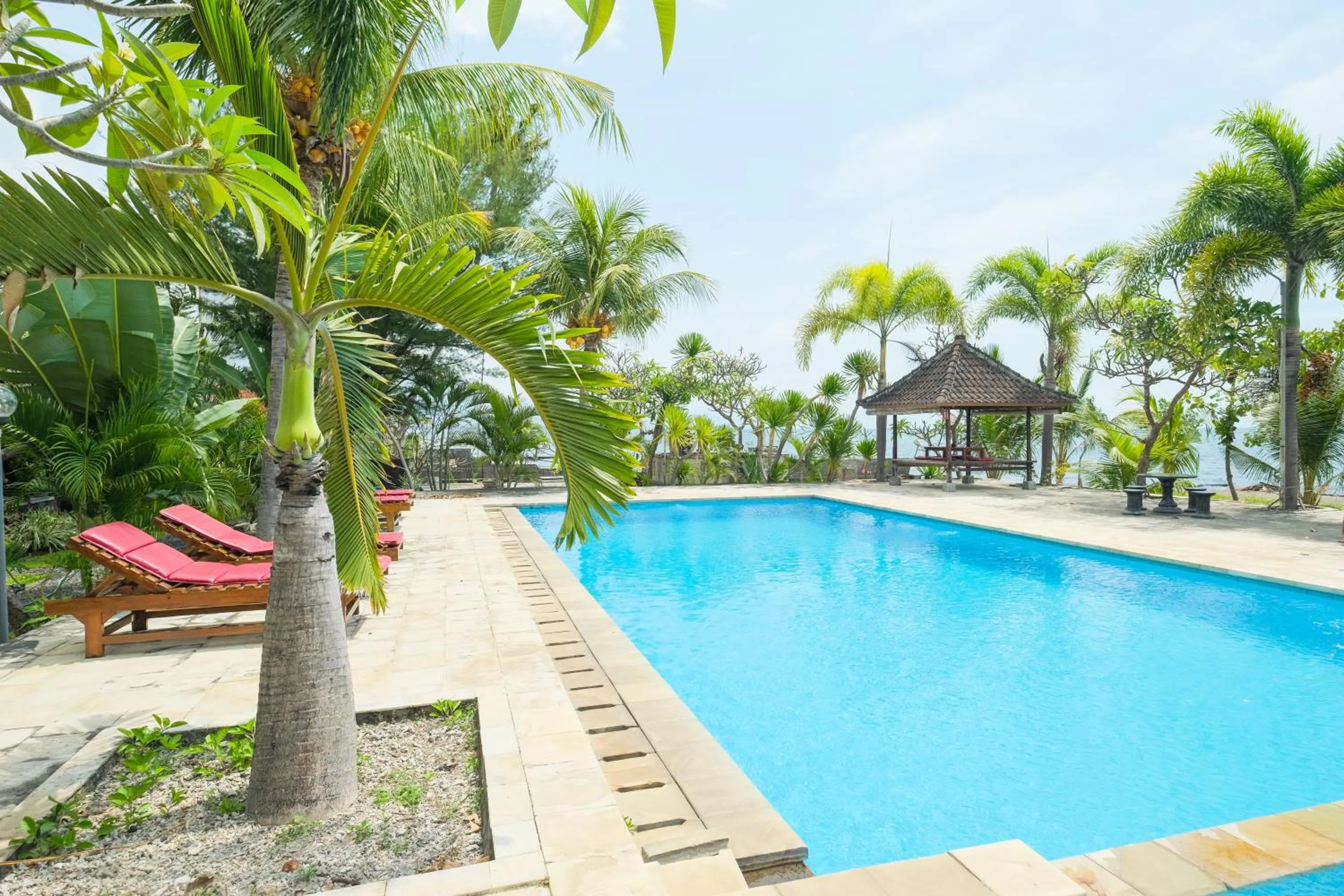Swimming pool in RedDoorz at Tanjung Alam Hotel Lovina