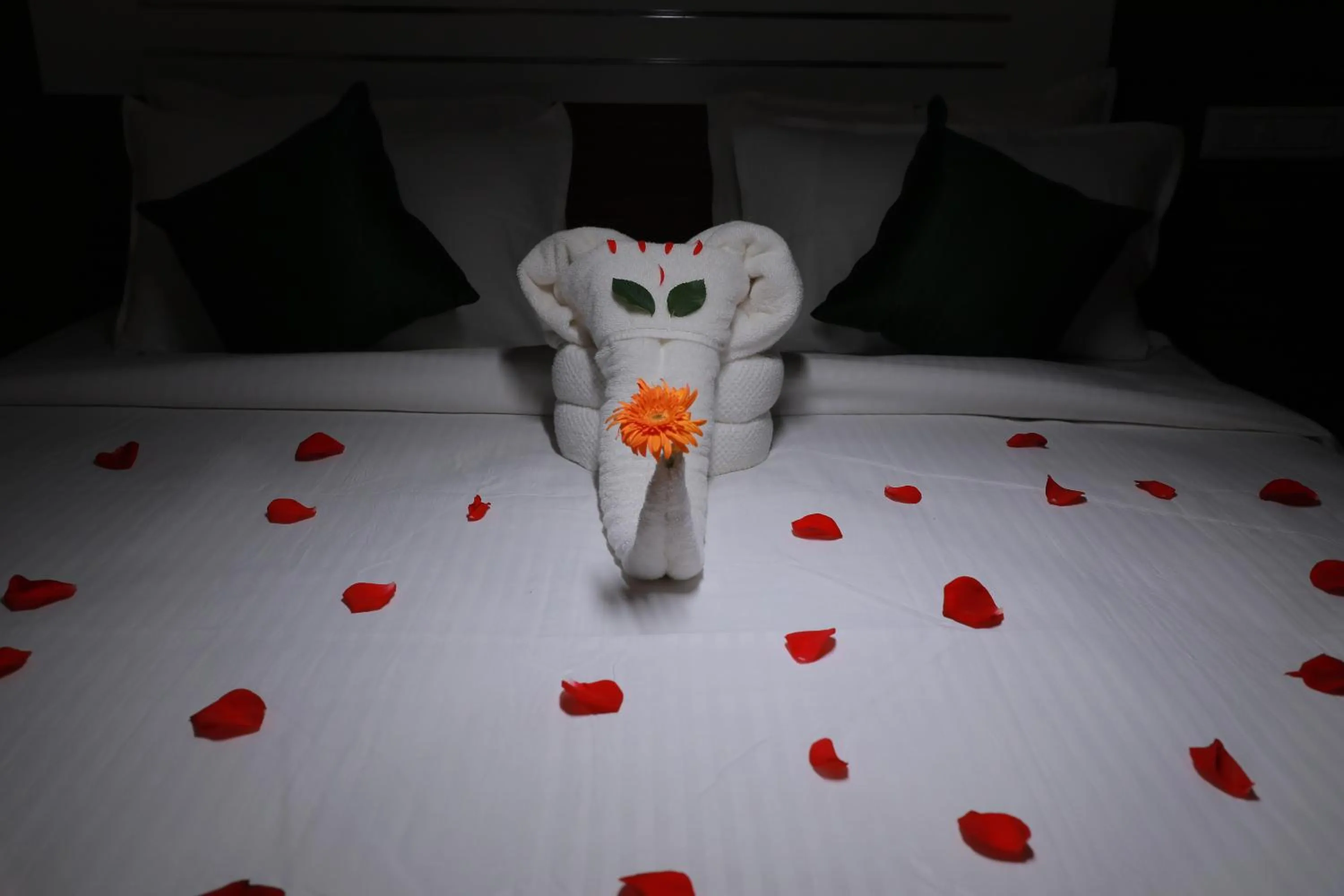 Bed in Delano Residency