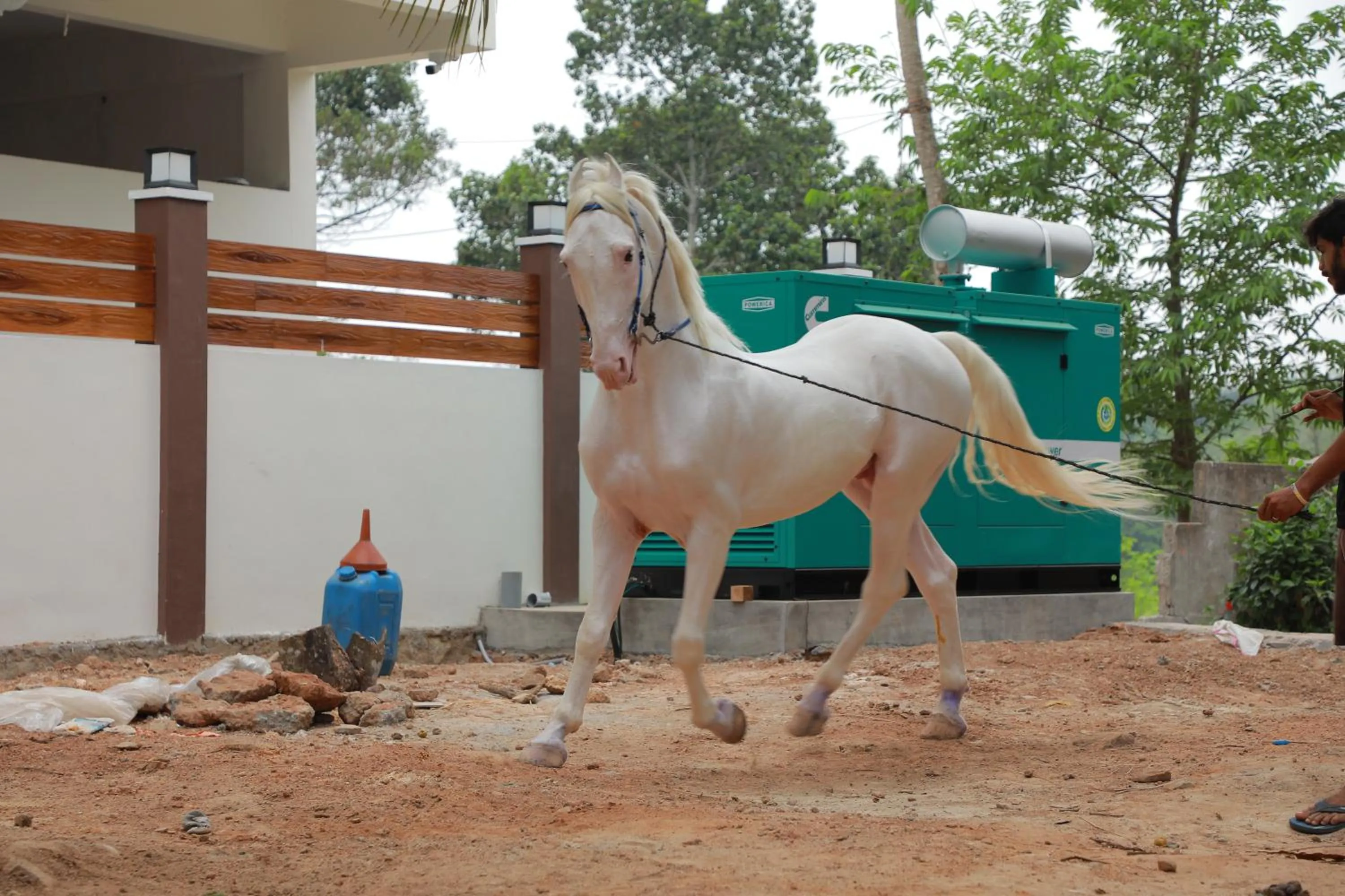 Property building in Delano Residency