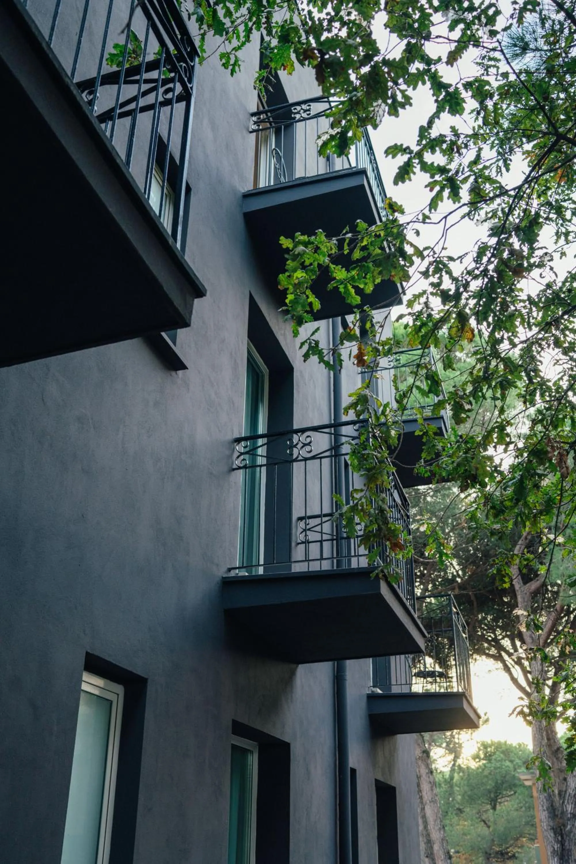 Property building in M House Art Hotel