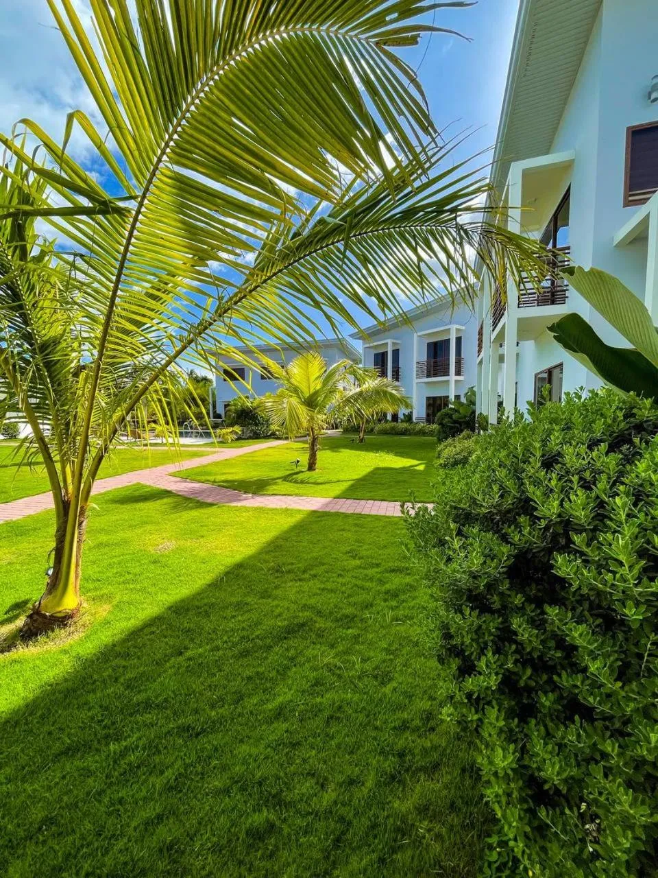 Garden in Red Picnic Hostel Panglao