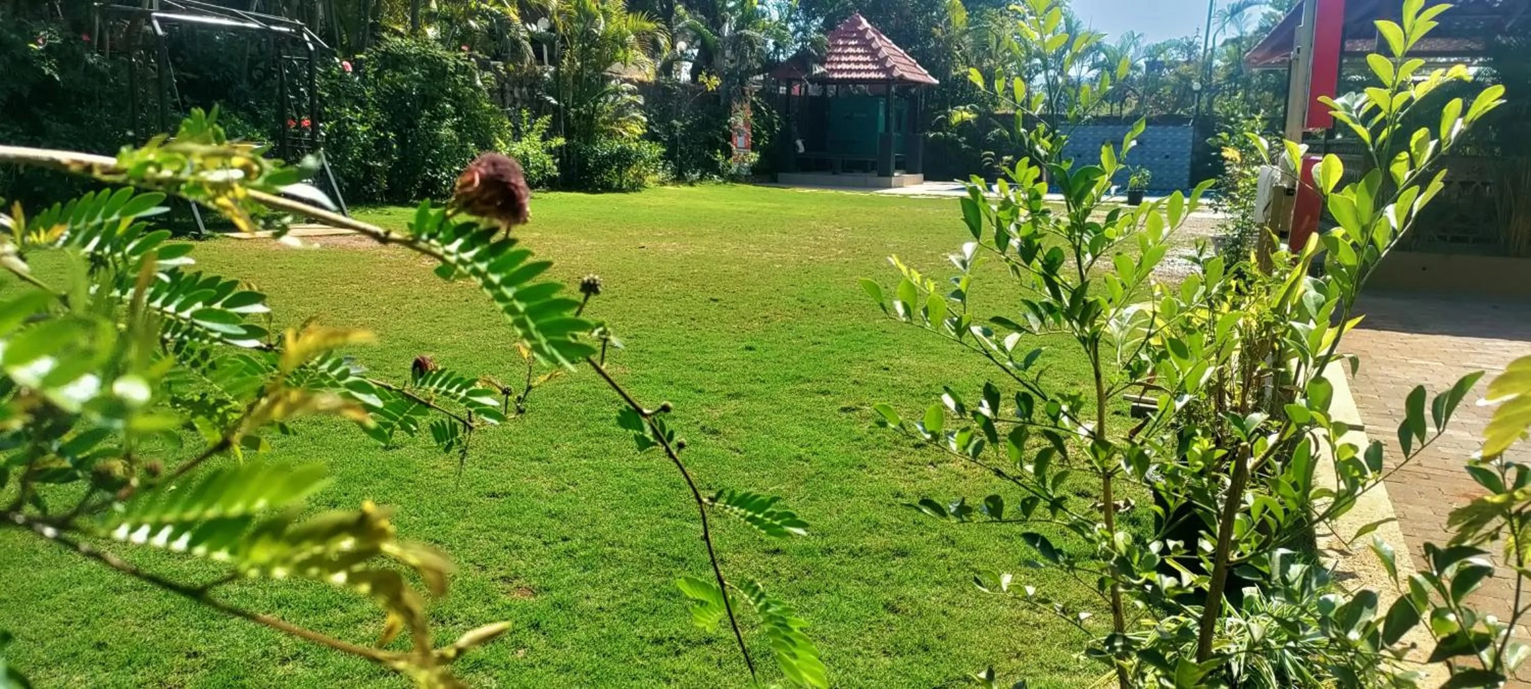 Garden in Mountview Resort