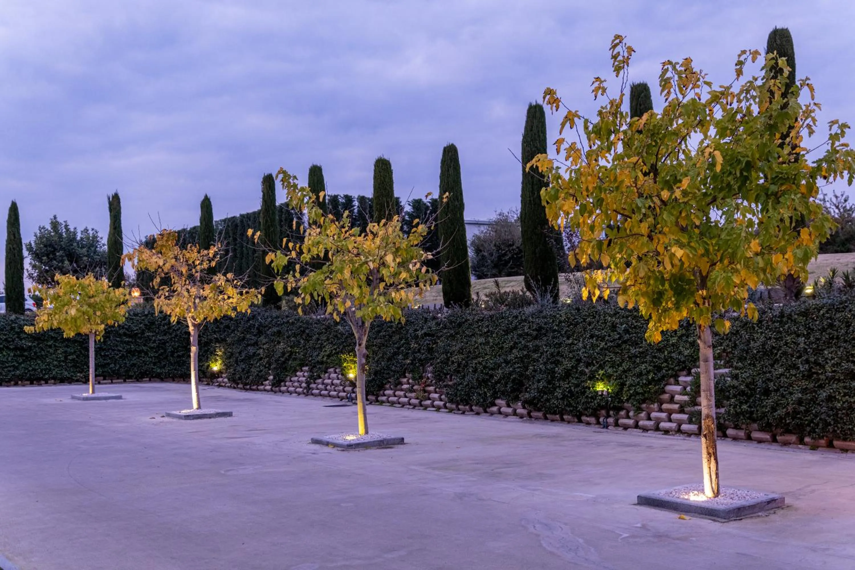 Parking in Hiddenbay Teos Hotel