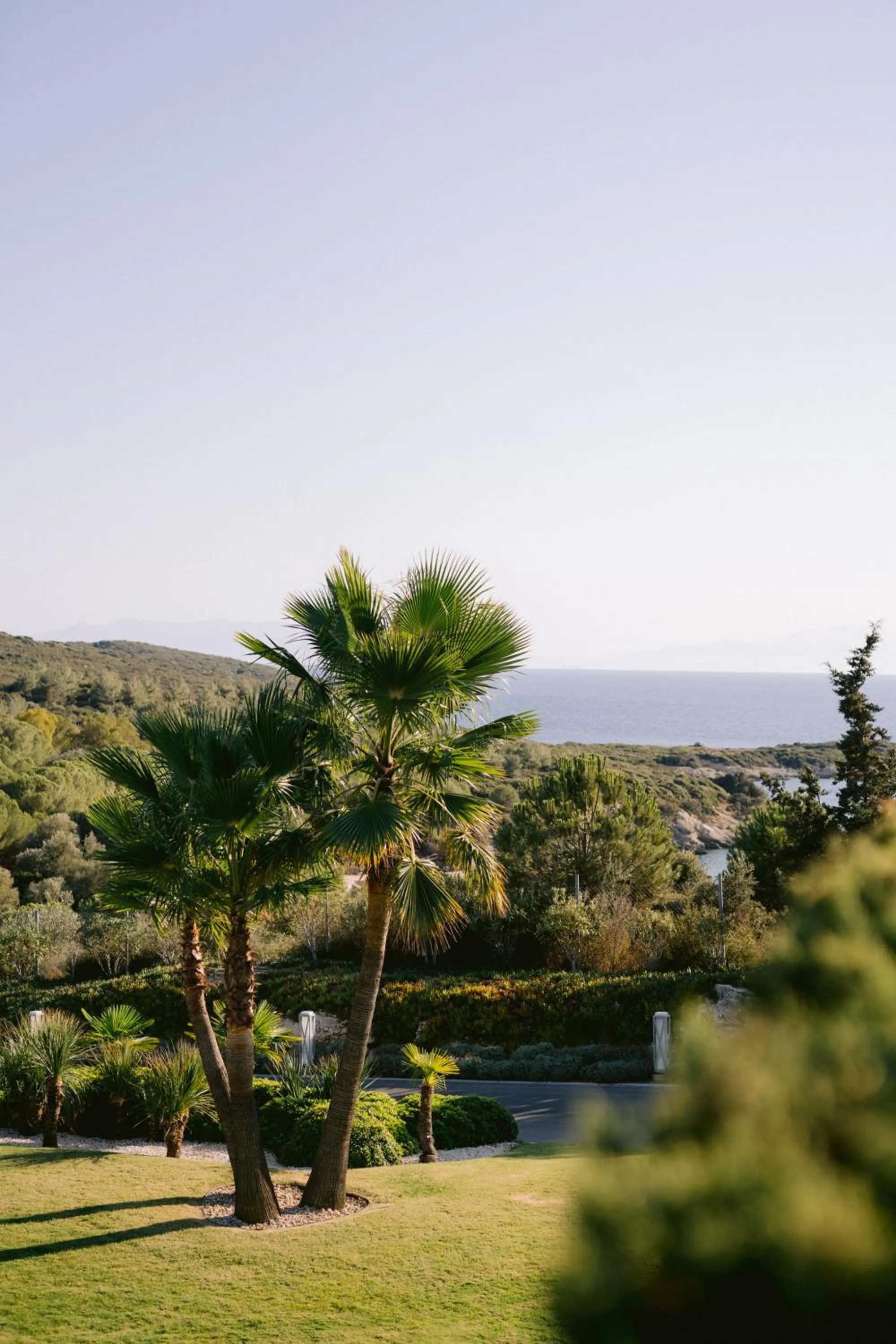 Day in Hiddenbay Teos Hotel