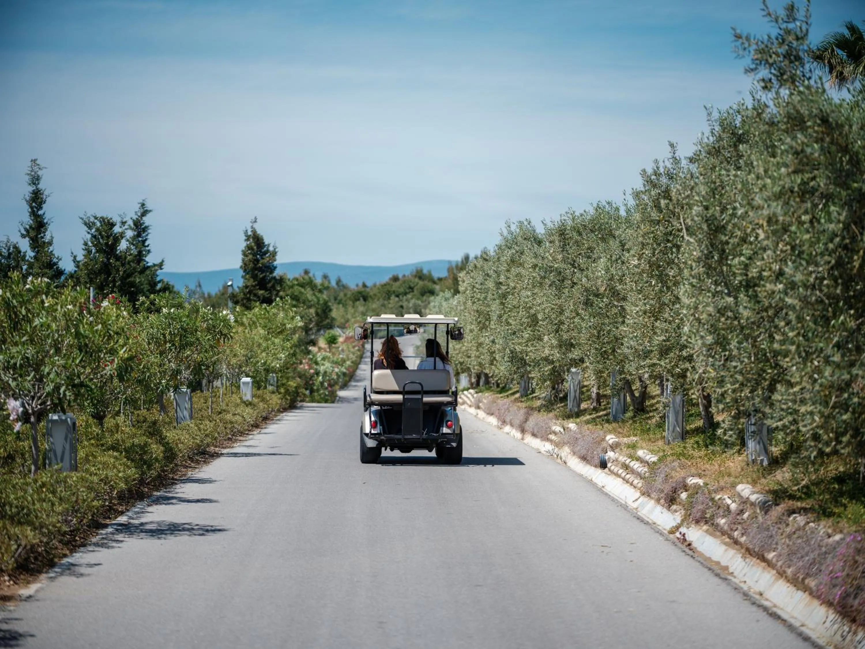 Day in Hiddenbay Teos Hotel