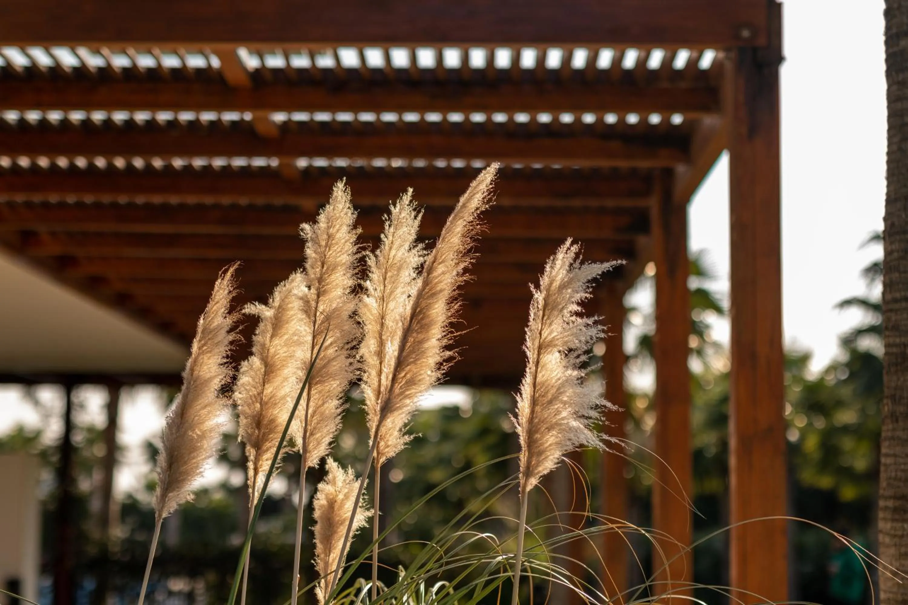 Day in Hiddenbay Teos Hotel