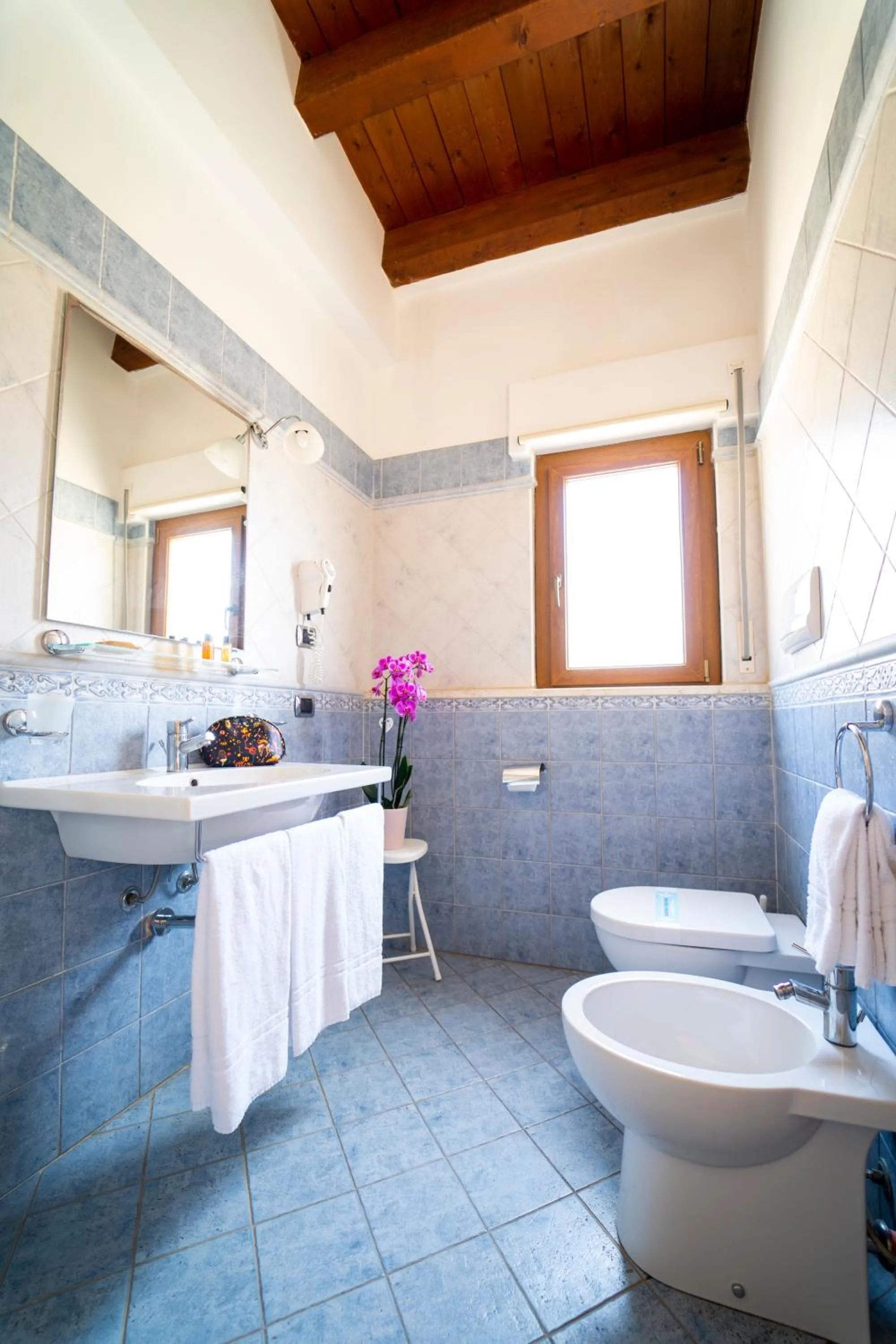 Toilet in Hotel Villa Romana