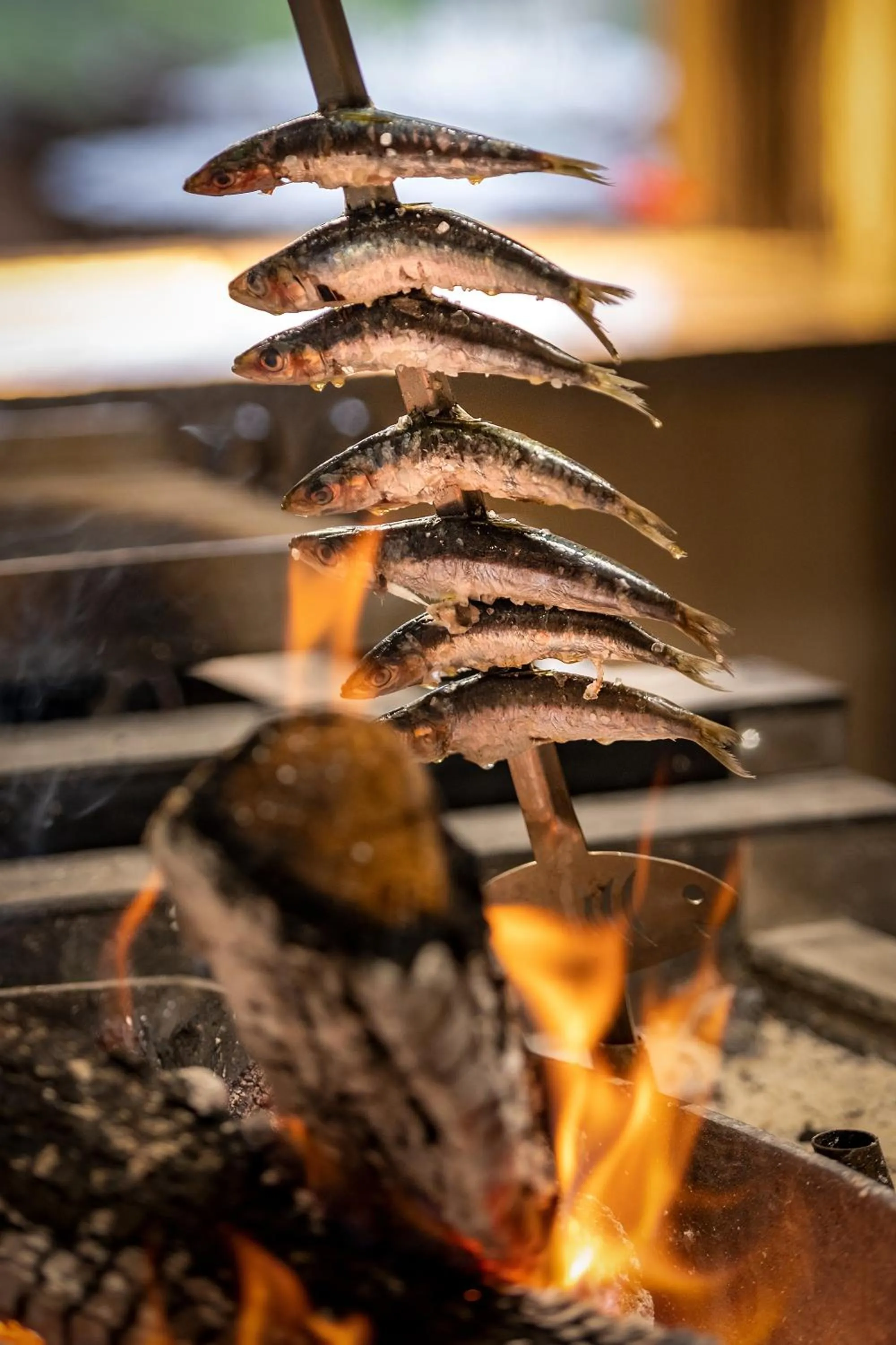 Restaurant/places to eat in Talaia Plaza EcoResort Begur