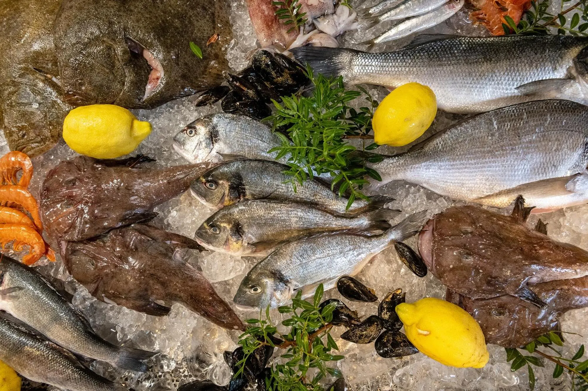 Restaurant/places to eat in Talaia Plaza EcoResort Begur