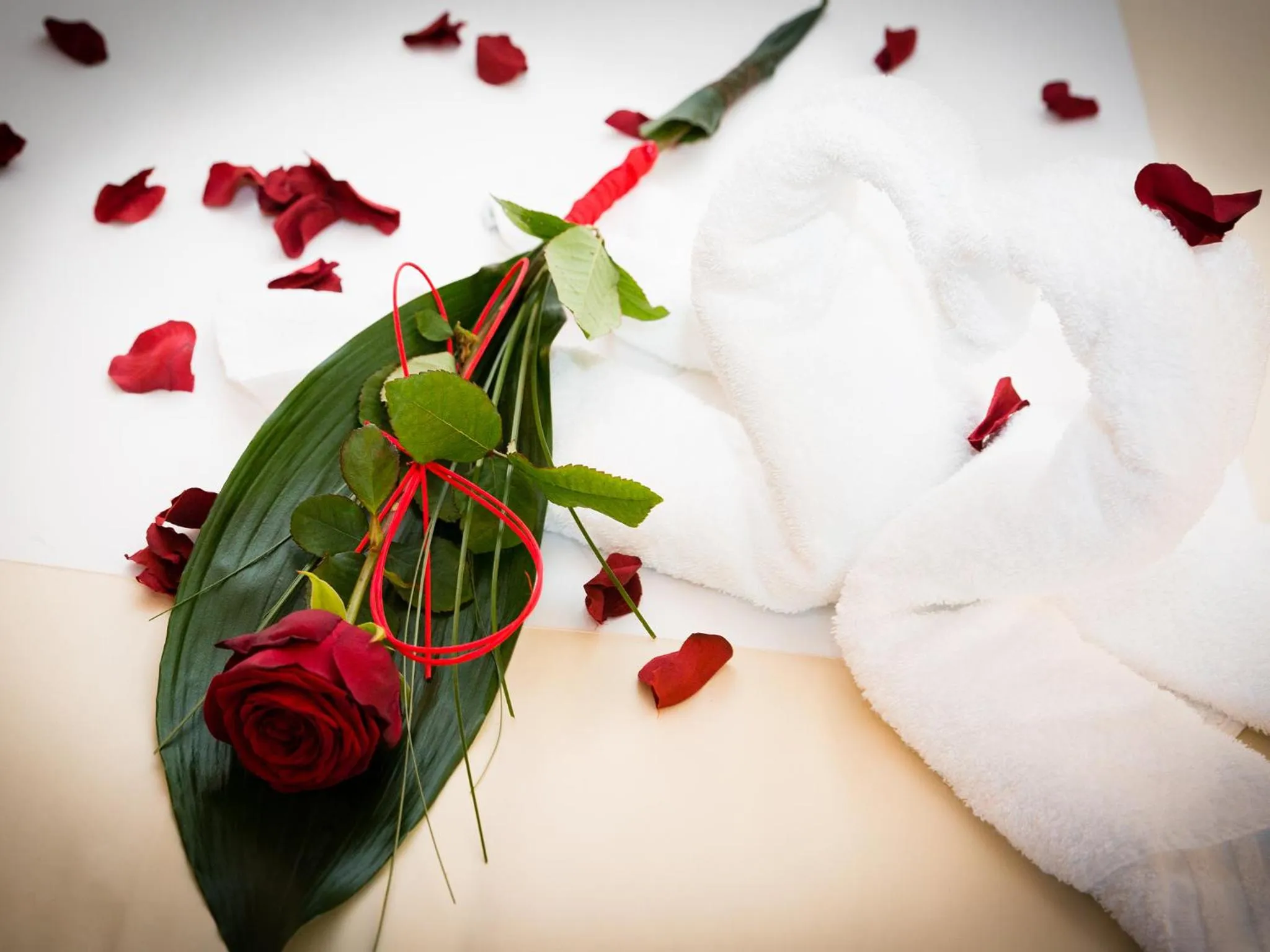 Spa and wellness centre/facilities in Gardaland Hotel