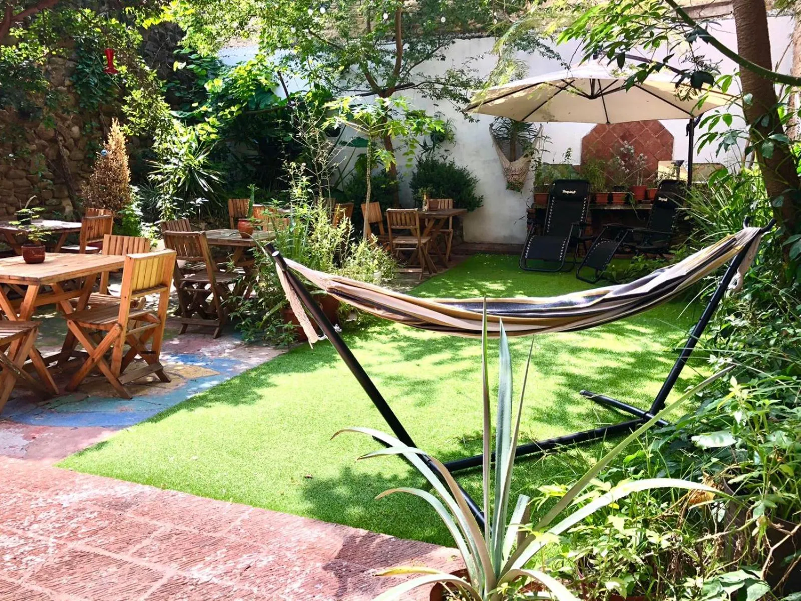 Garden in Leveli Coliving