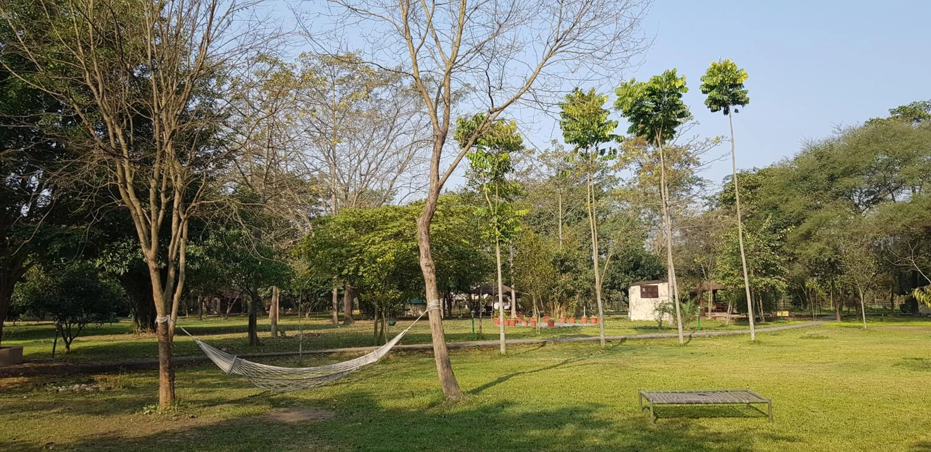 Day in Lumbini Buddha Garden Resort