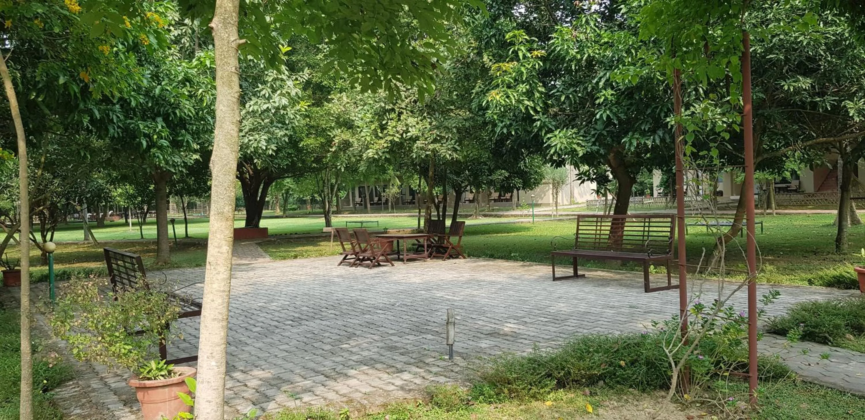 Garden view in Lumbini Buddha Garden Resort