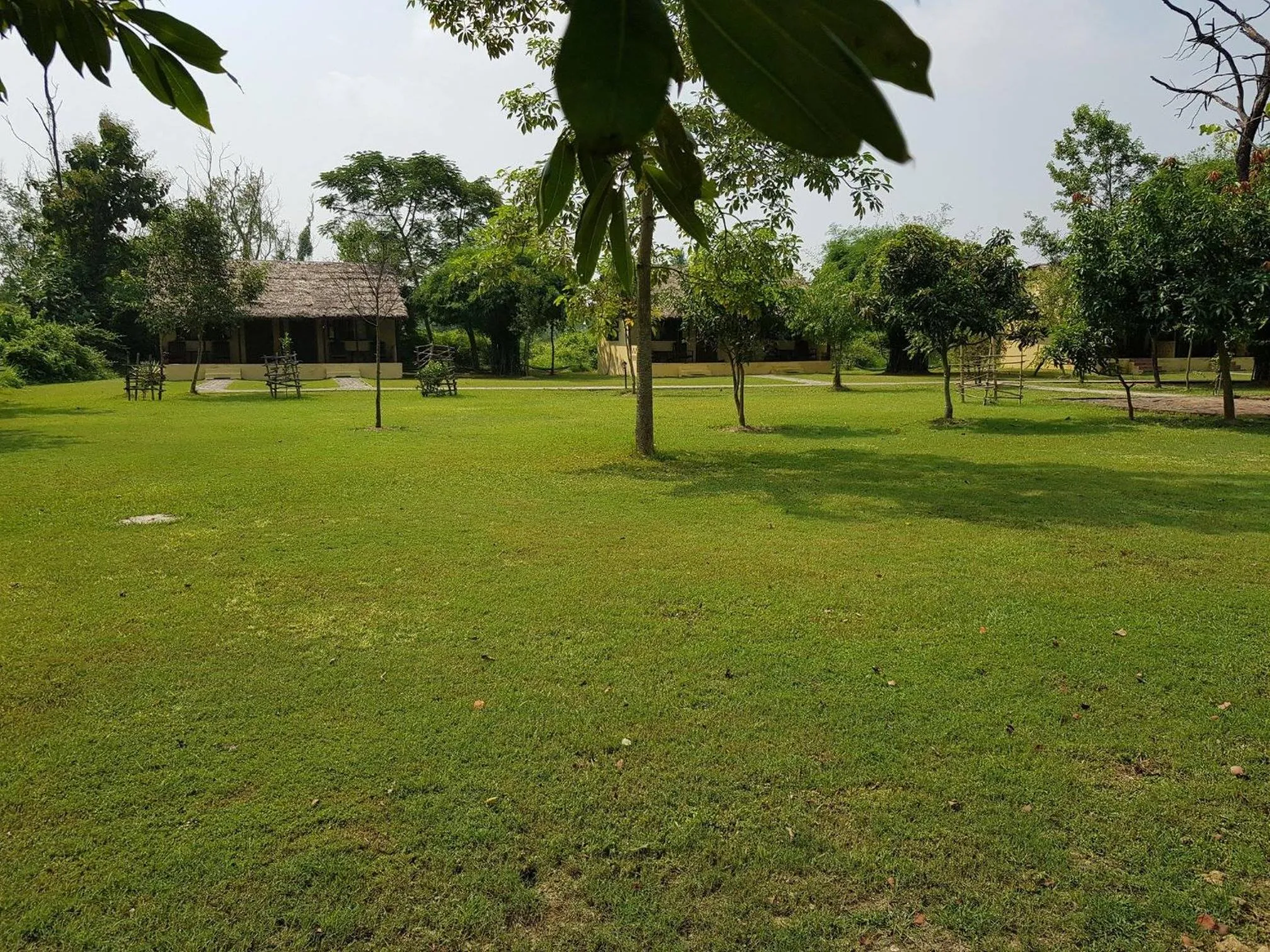 Garden in Lumbini Buddha Garden Resort
