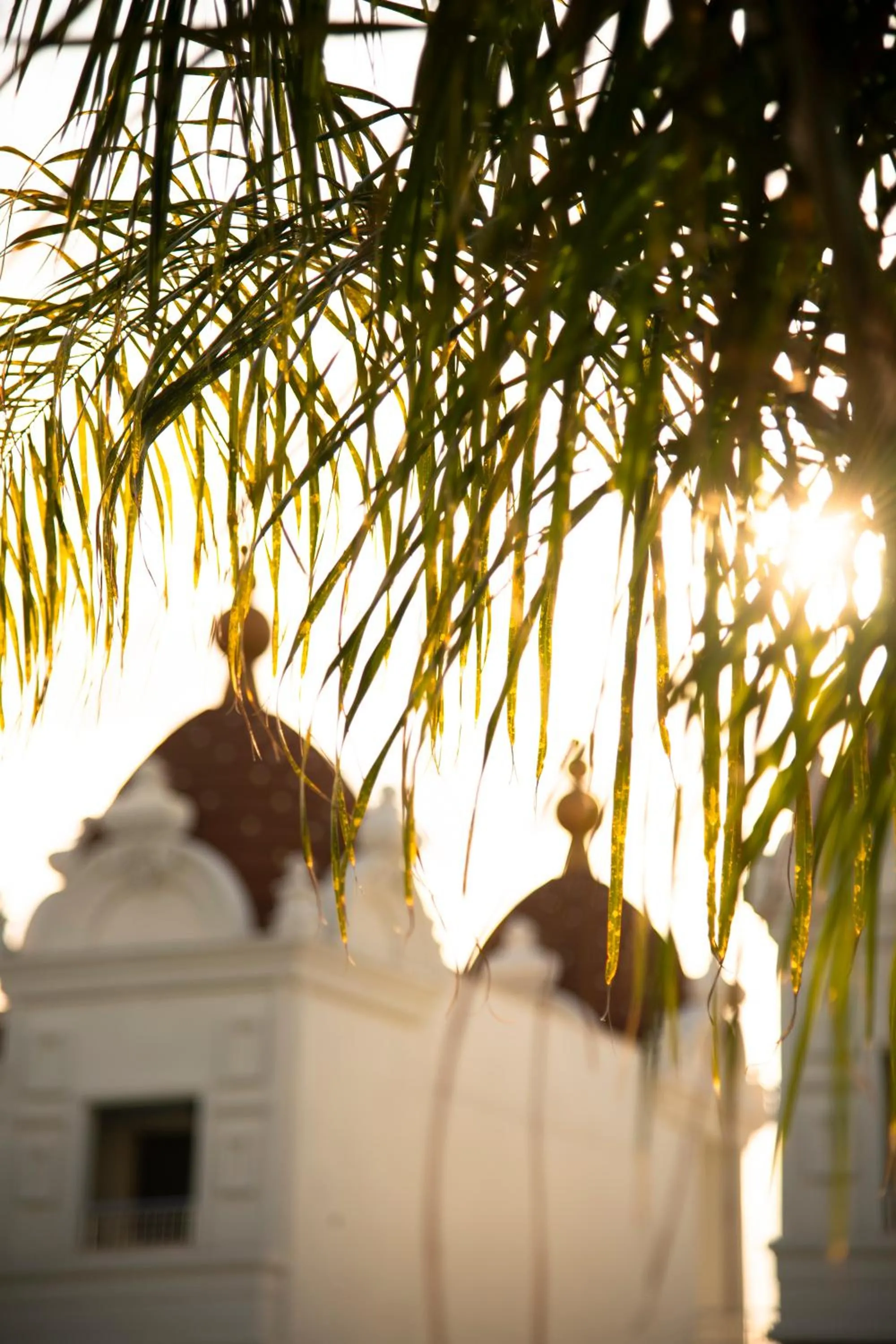 Off site in Oz Hotels Side Premium