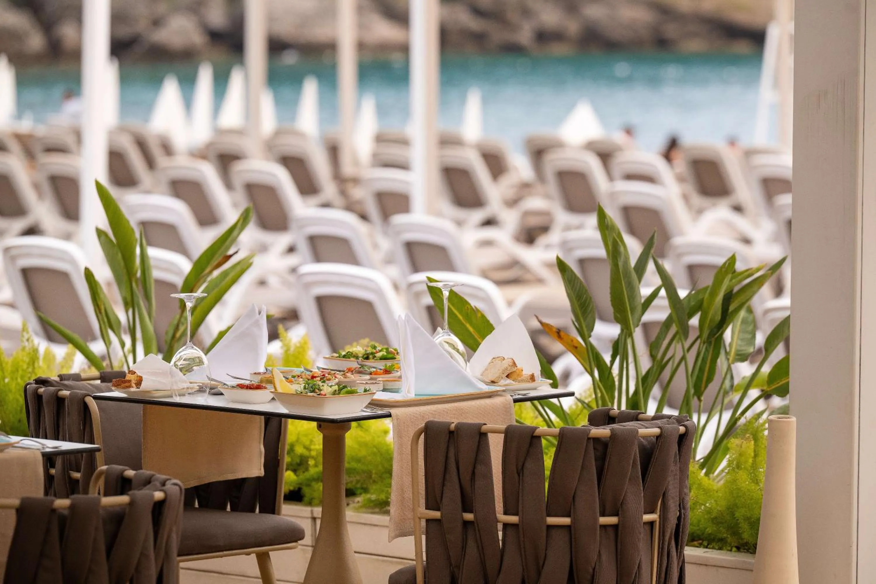 Beach in Oz Hotels Sui