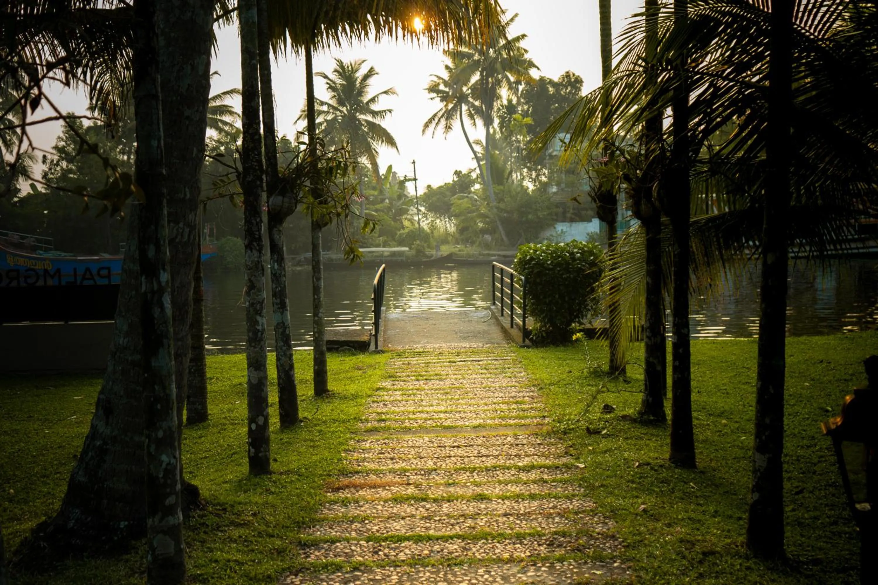 Natural landscape in Palmgrove Lake Resort