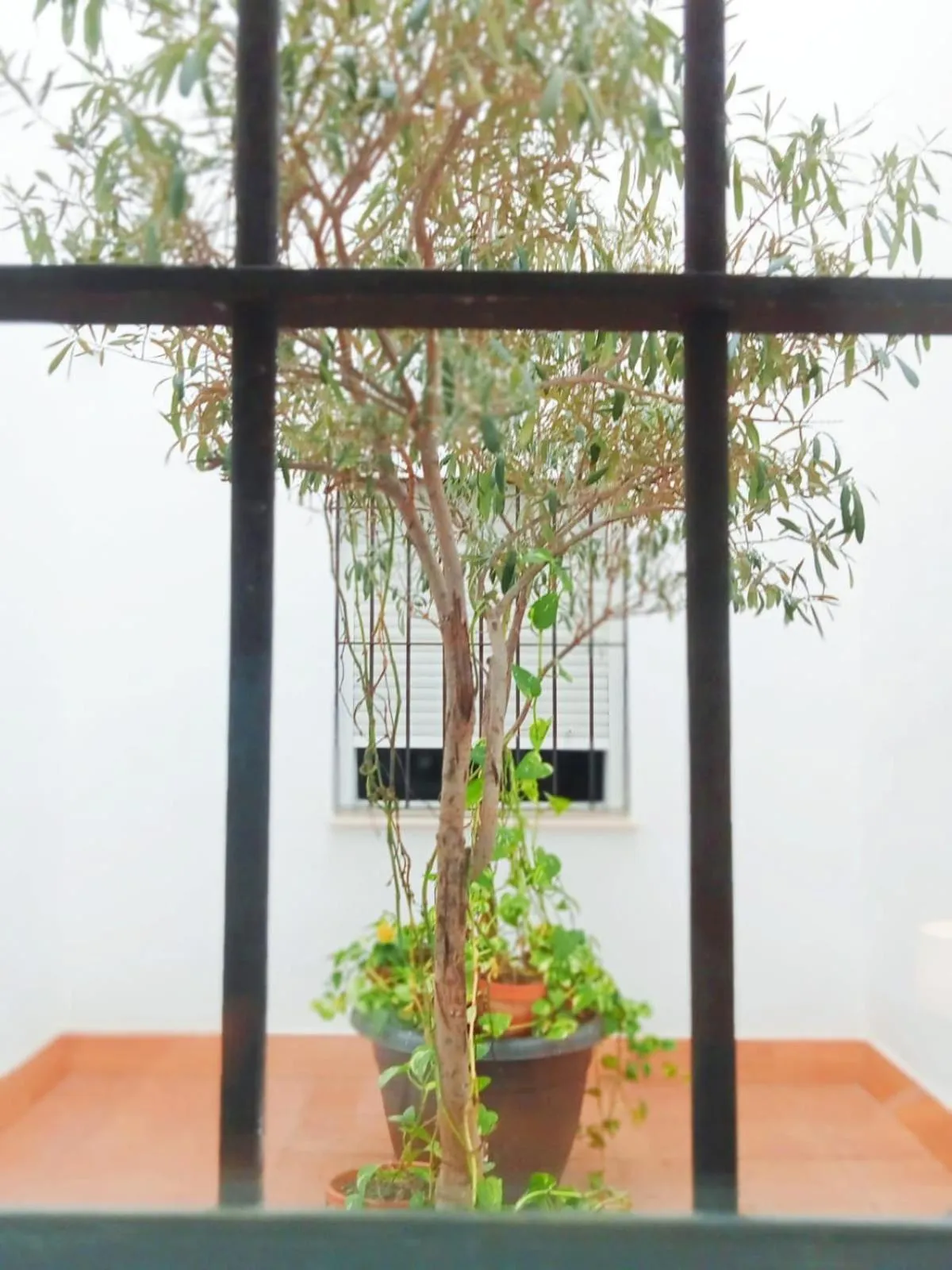 Day in Hotel Sol Sanlúcar