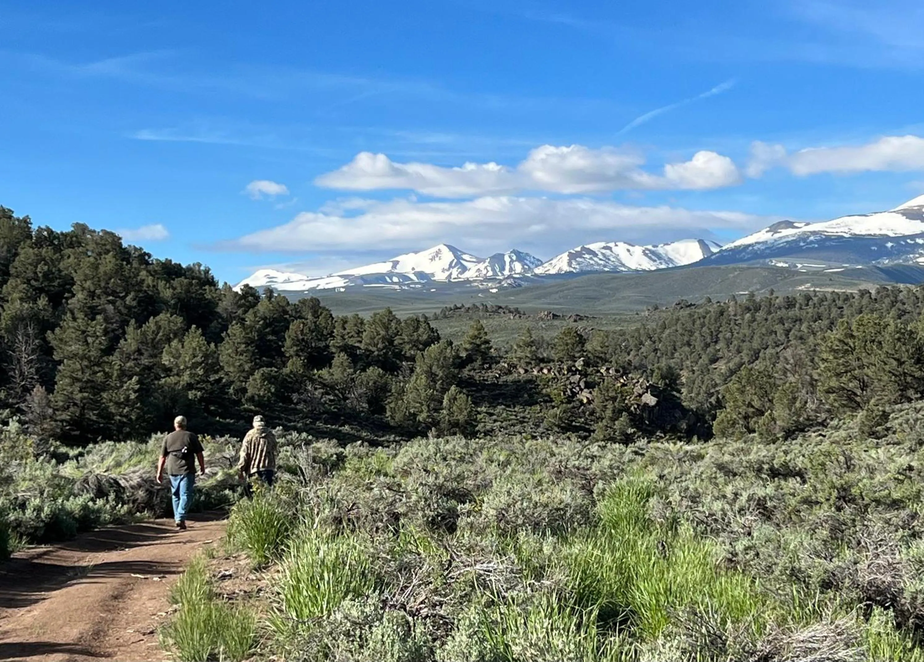 Hiking in Willow Springs Resort