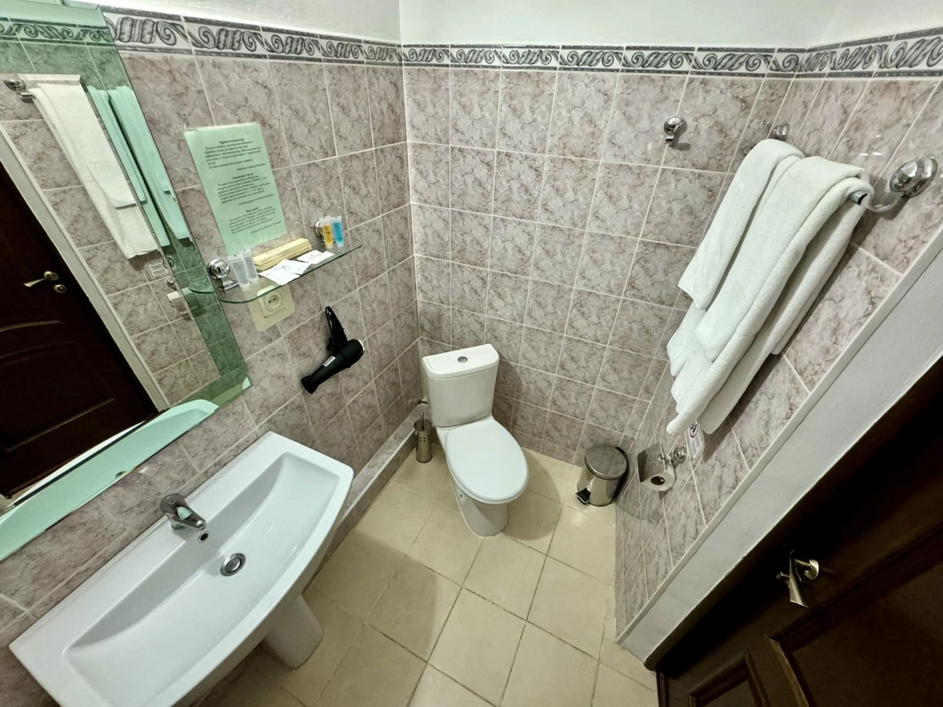 Toilet in Hotel Zhambyl