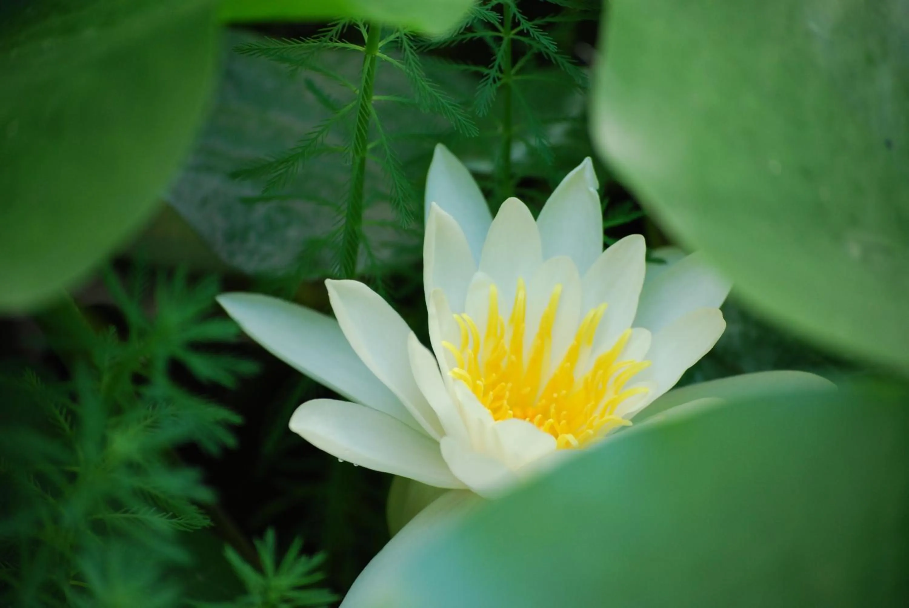 Other in Accademia Hotel